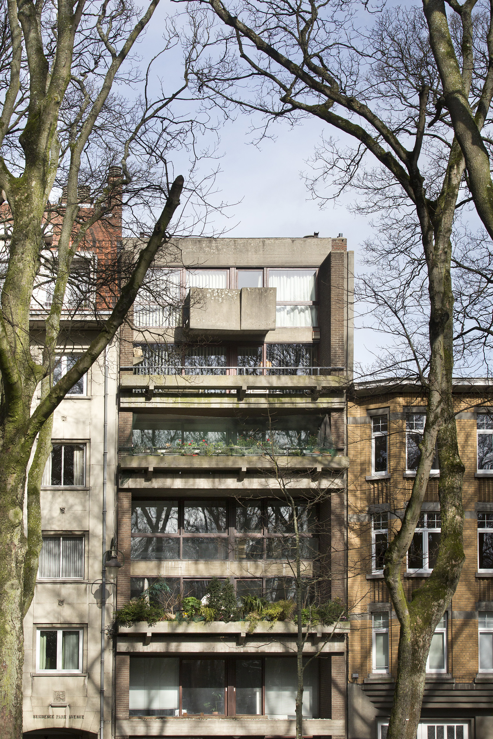 Ghewy Lisa Van Damme 4