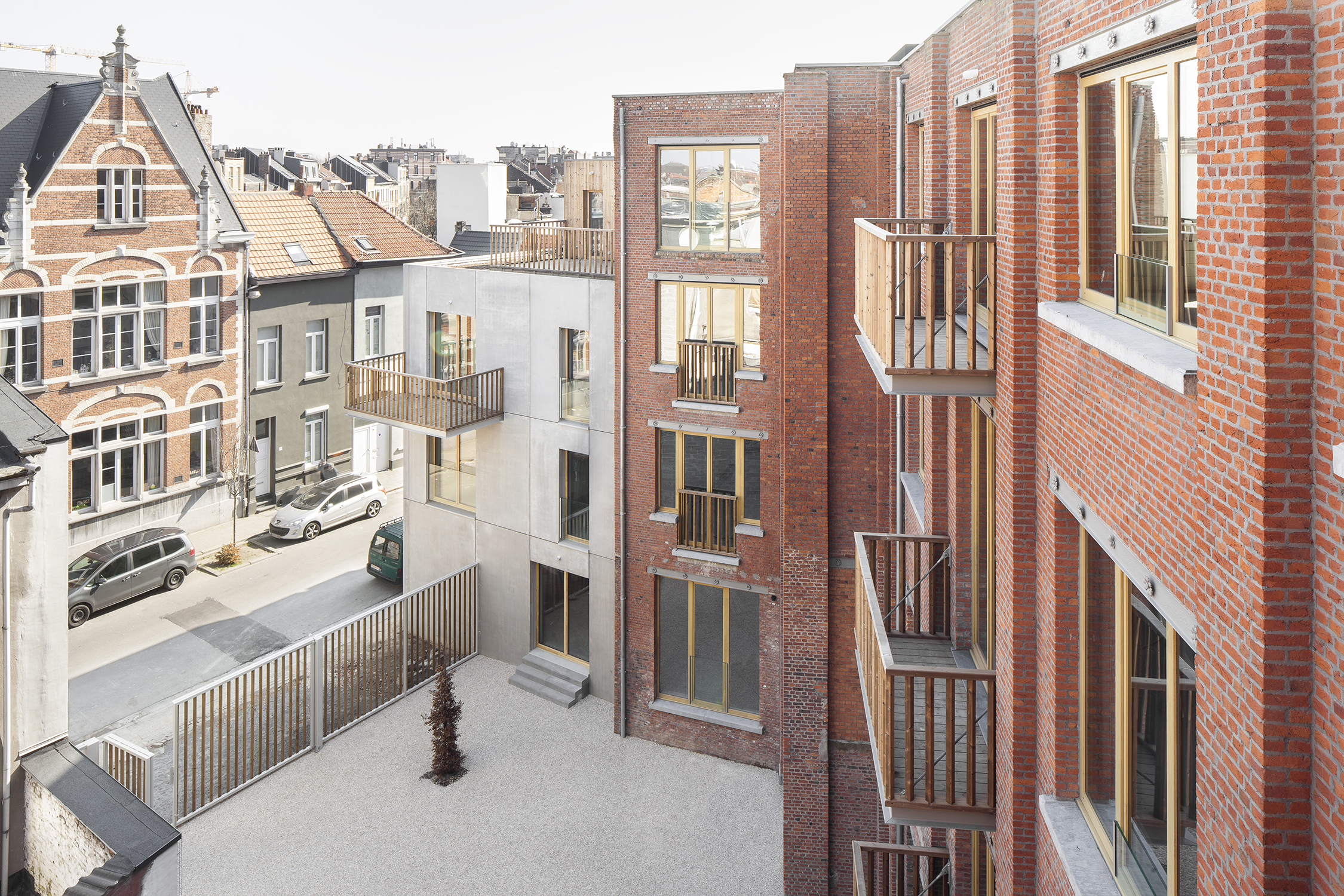 Passiflora copyright Ilse Liekens 4