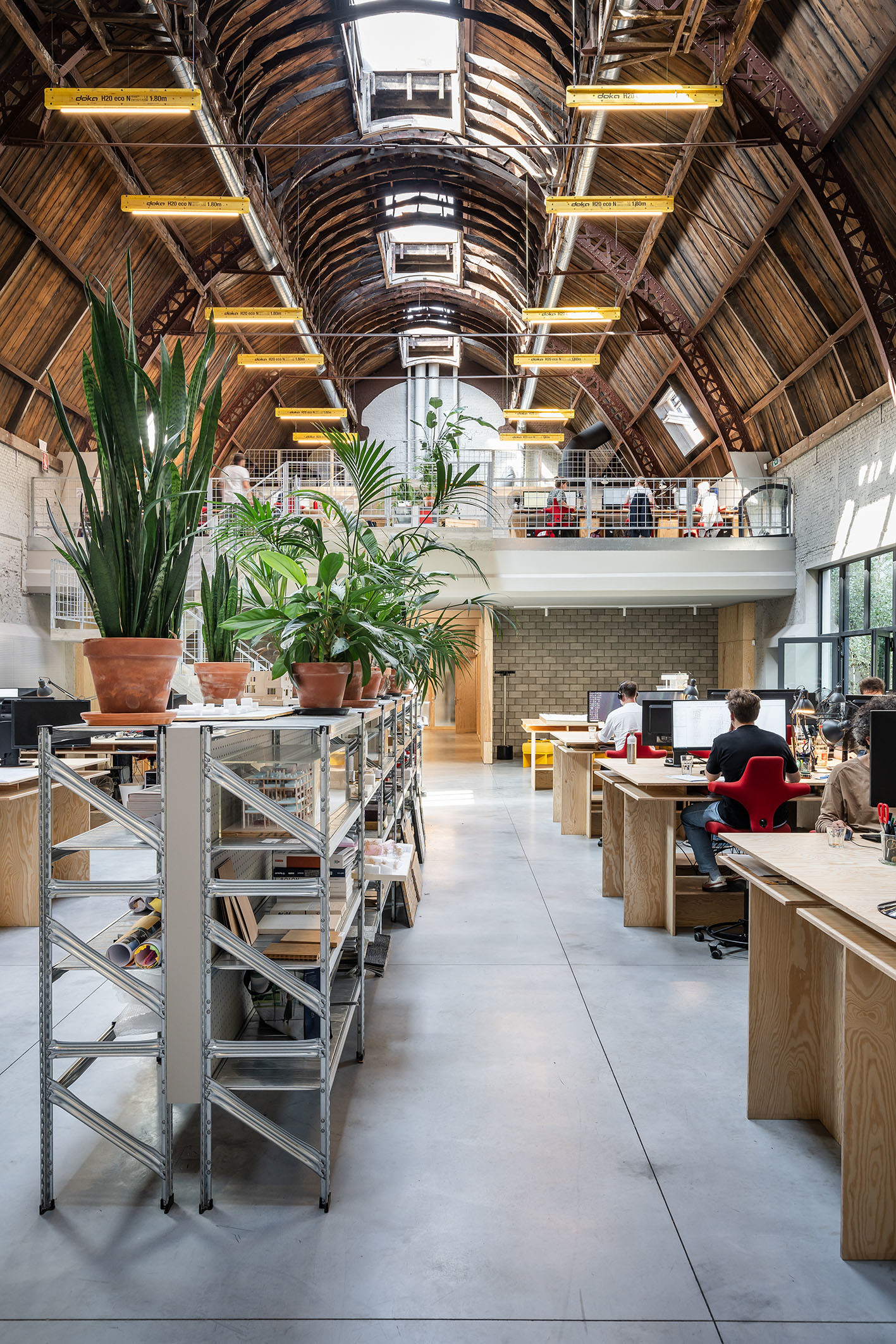 LOW LUCID B cinema 018