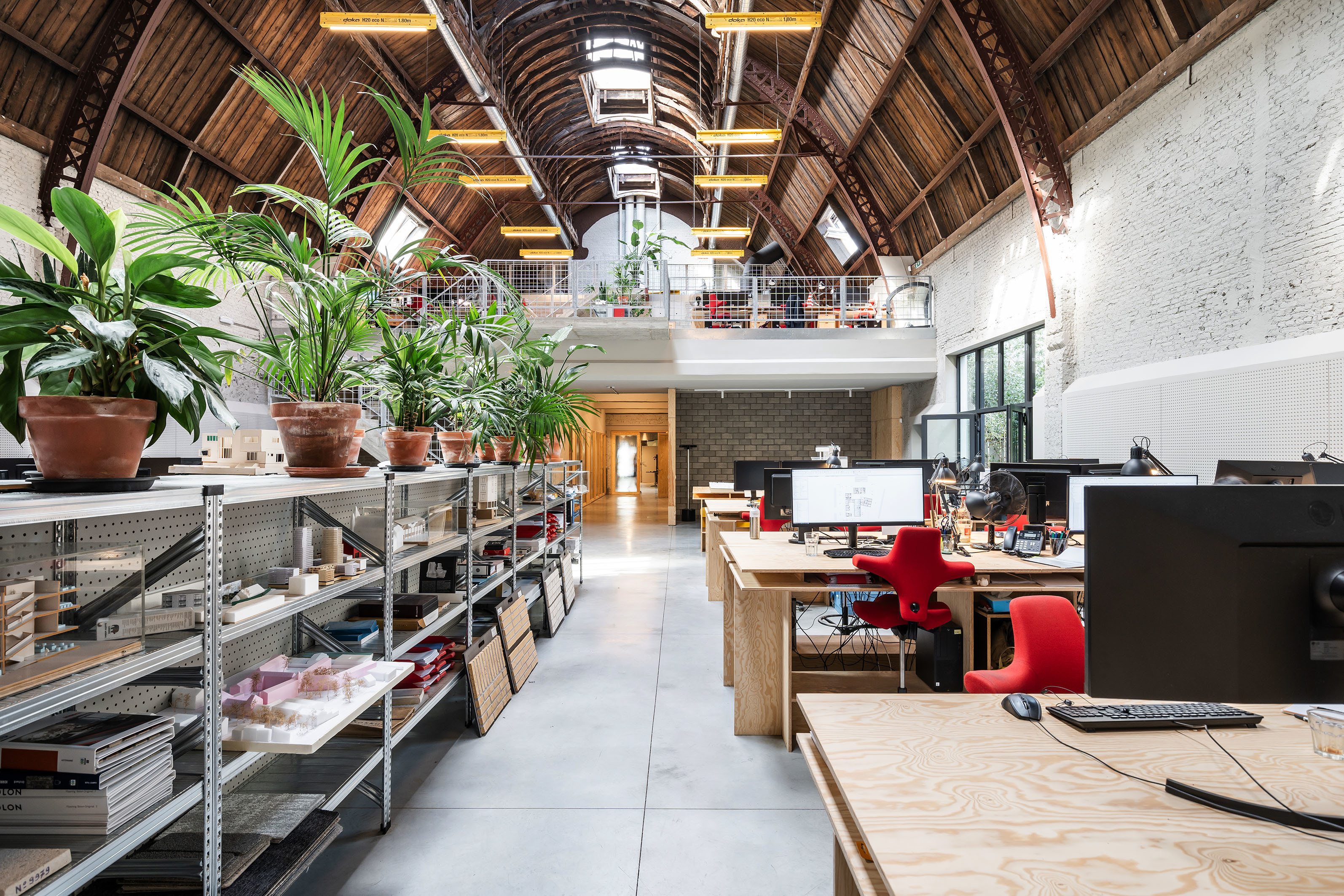 LOW LUCID B cinema 020