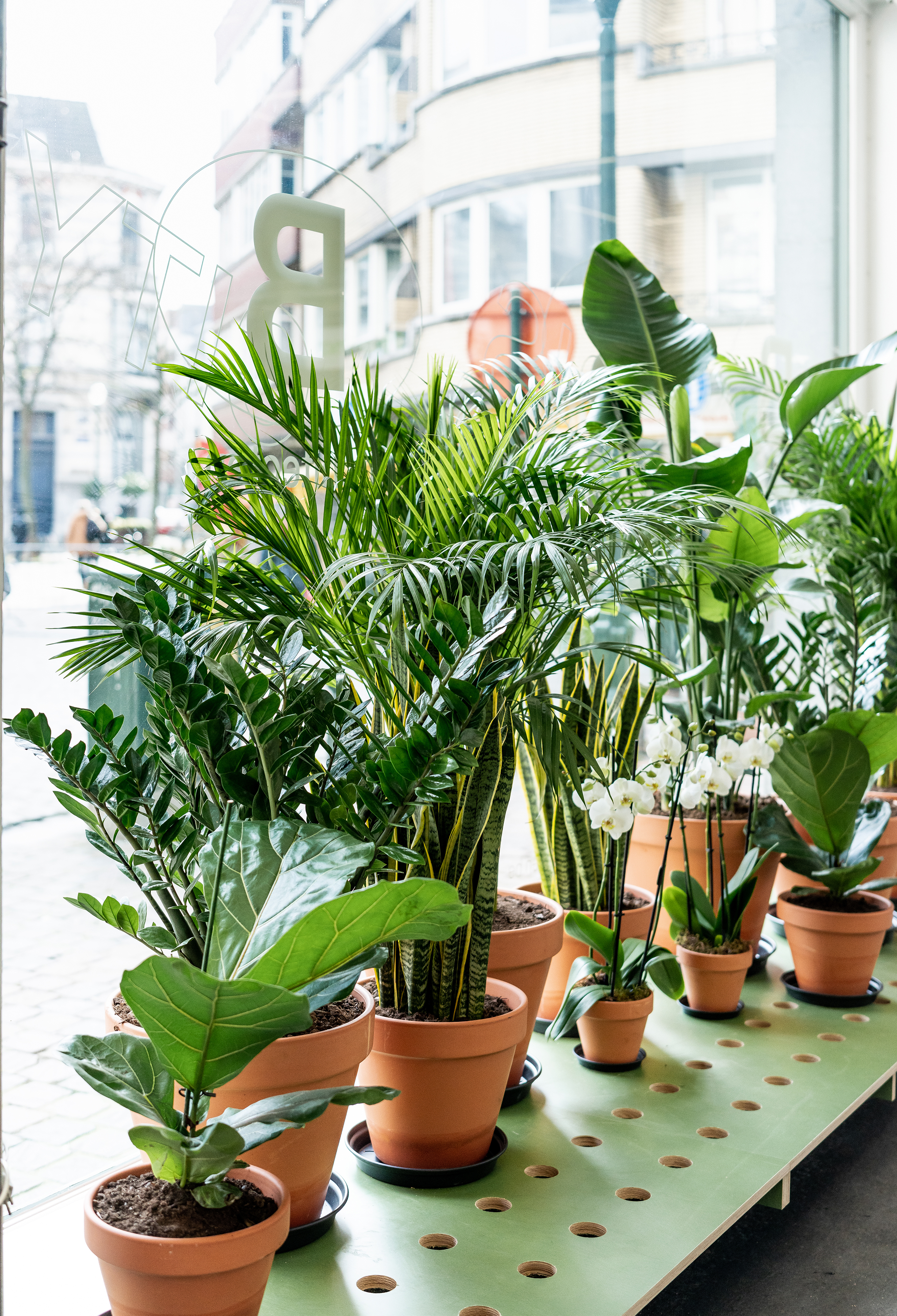 LUCID B architecten kantoor BXL 10