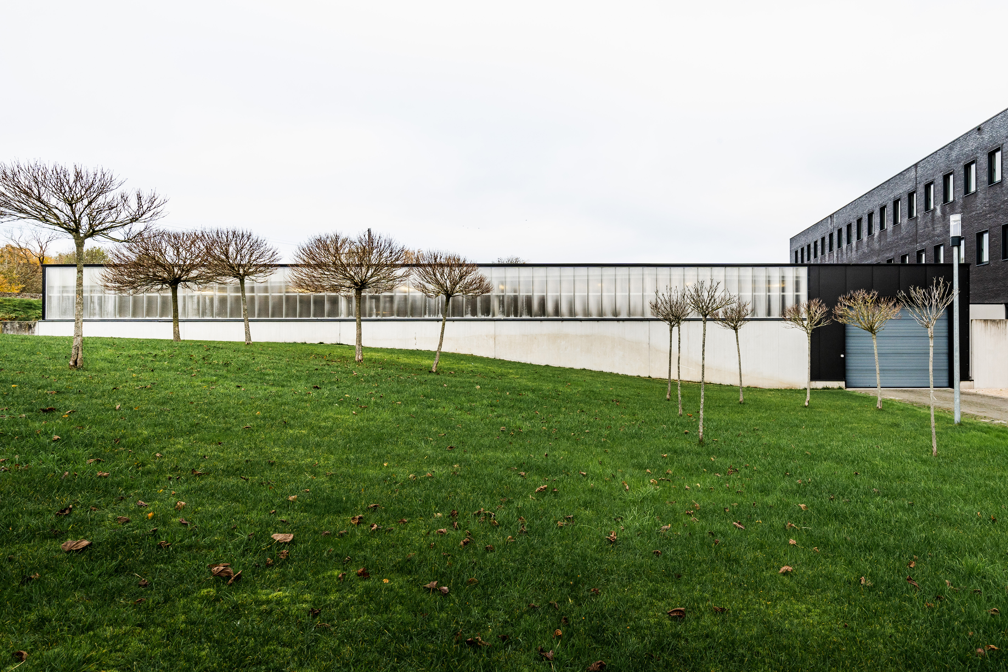 LUCID JUXTA Politie Dendermonde 15