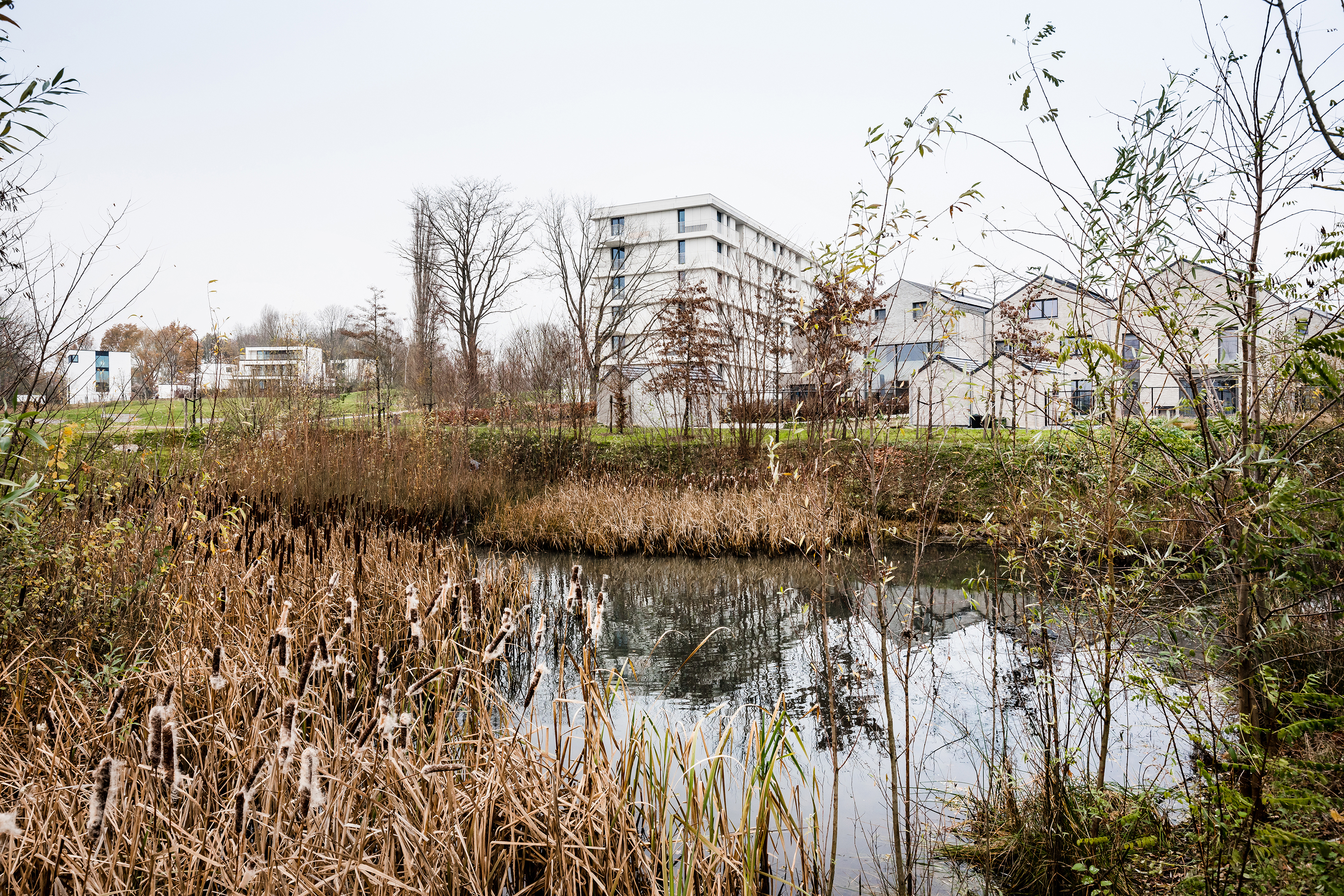 Lucid B architecten Anemoon 017