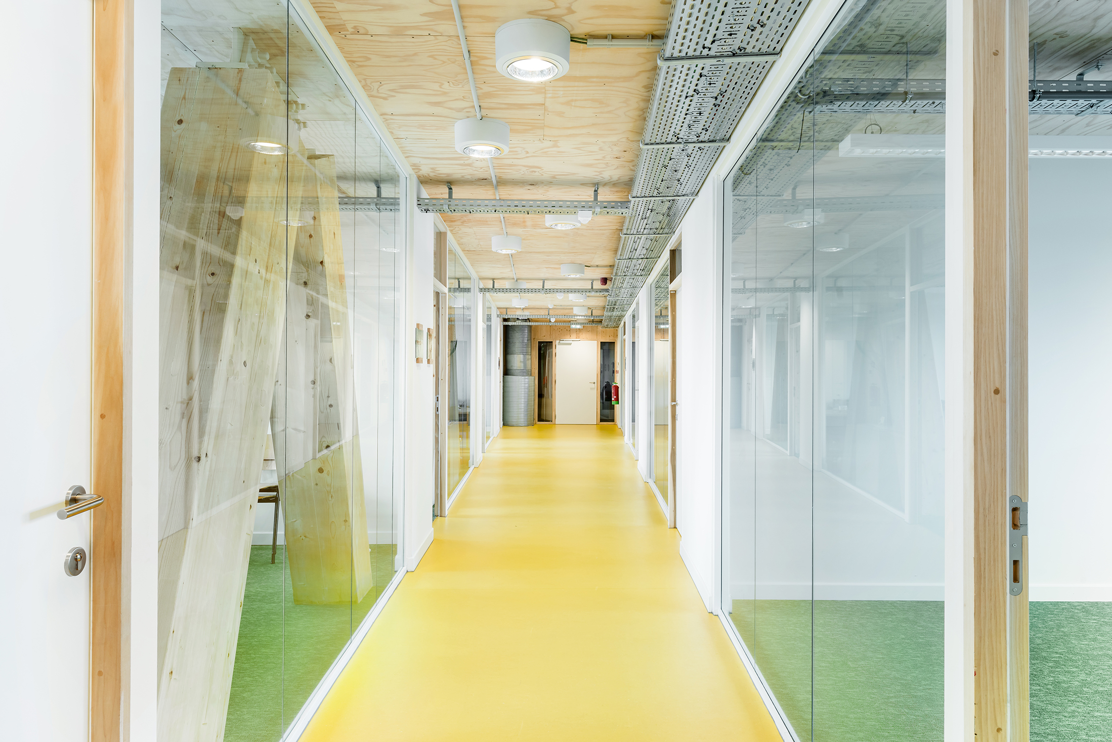 © Lucid Mundo A 019