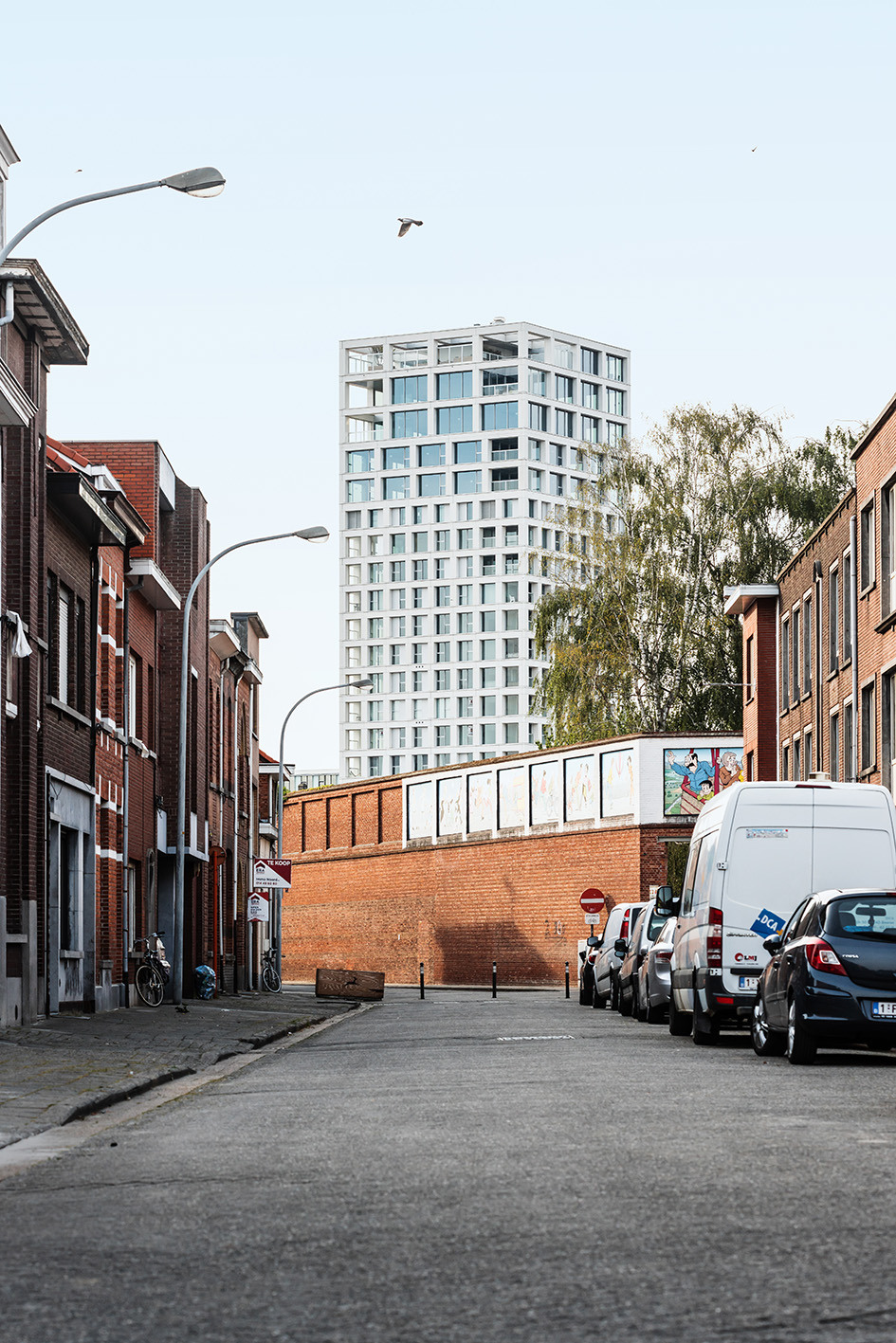 Lucid Turnova B 02 LOW