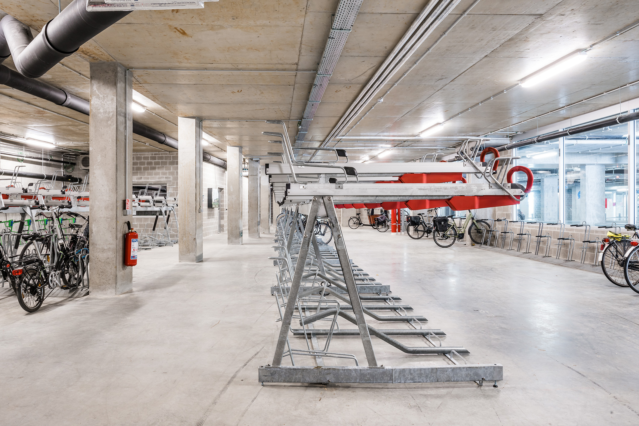 Lucid Turnova B 10 LOW