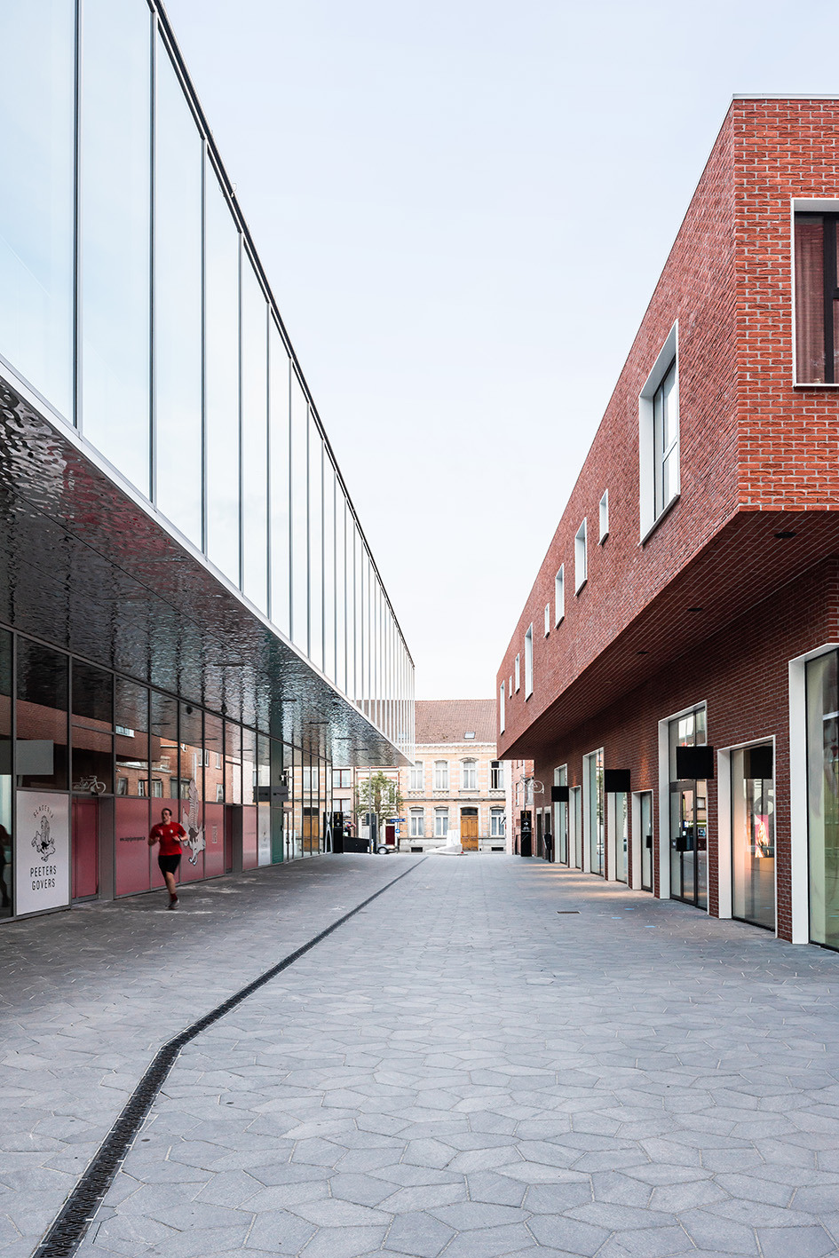 Lucid Turnova B 21 LOW