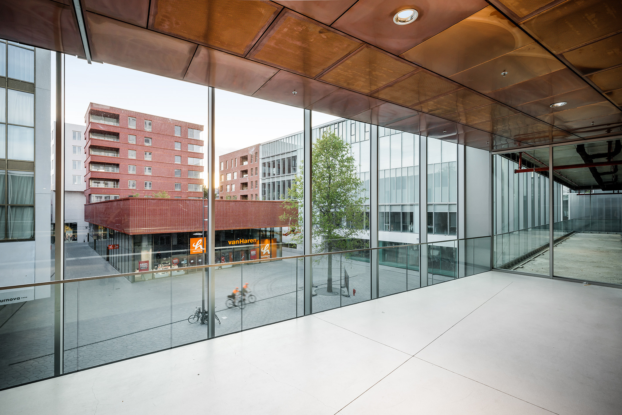 Lucid Turnova B 22 LOW