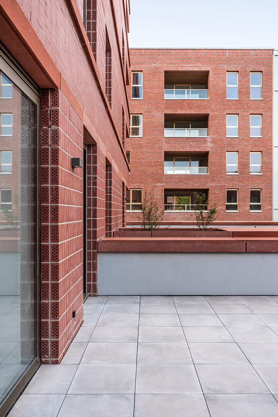 Lucid Turnova B 26 LOW