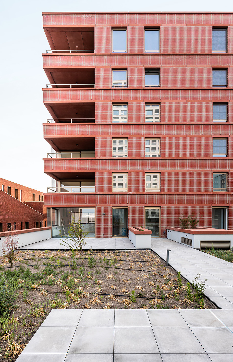 Lucid Turnova B 27 LOW