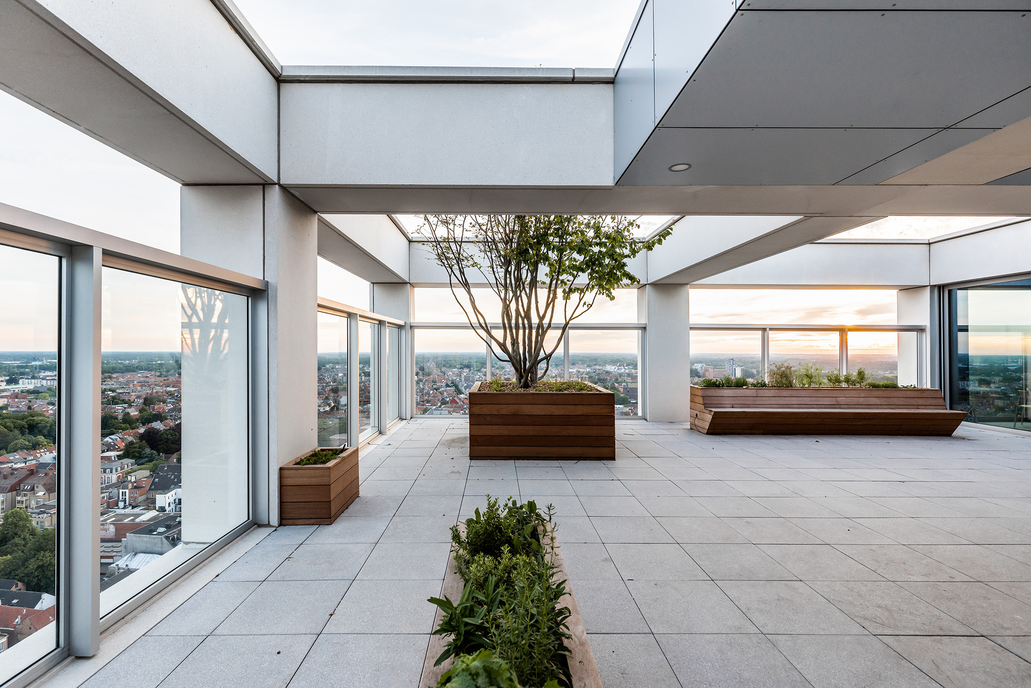 Lucid Turnova B 42 LOW