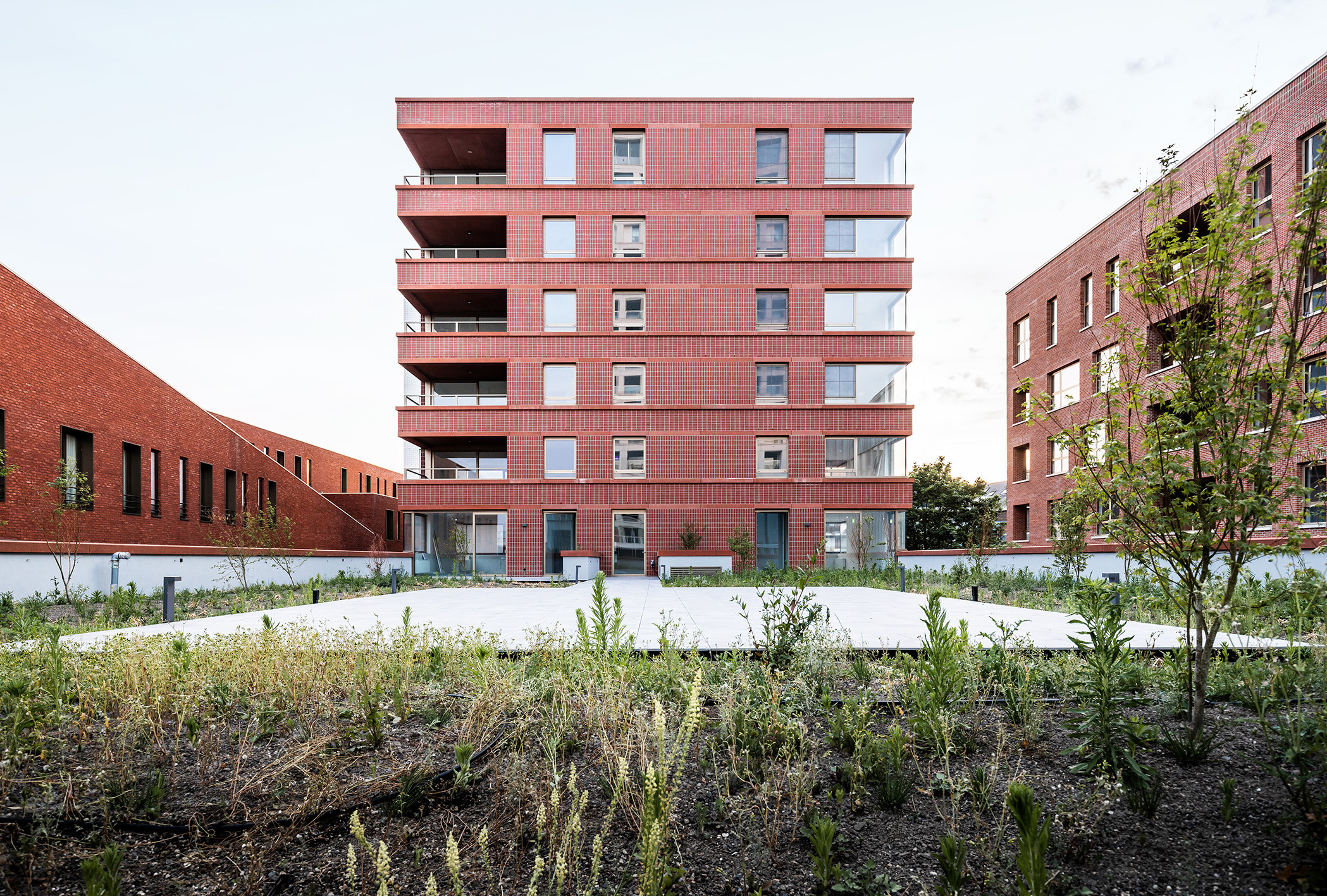 Lucid Turnova B 46 LOW