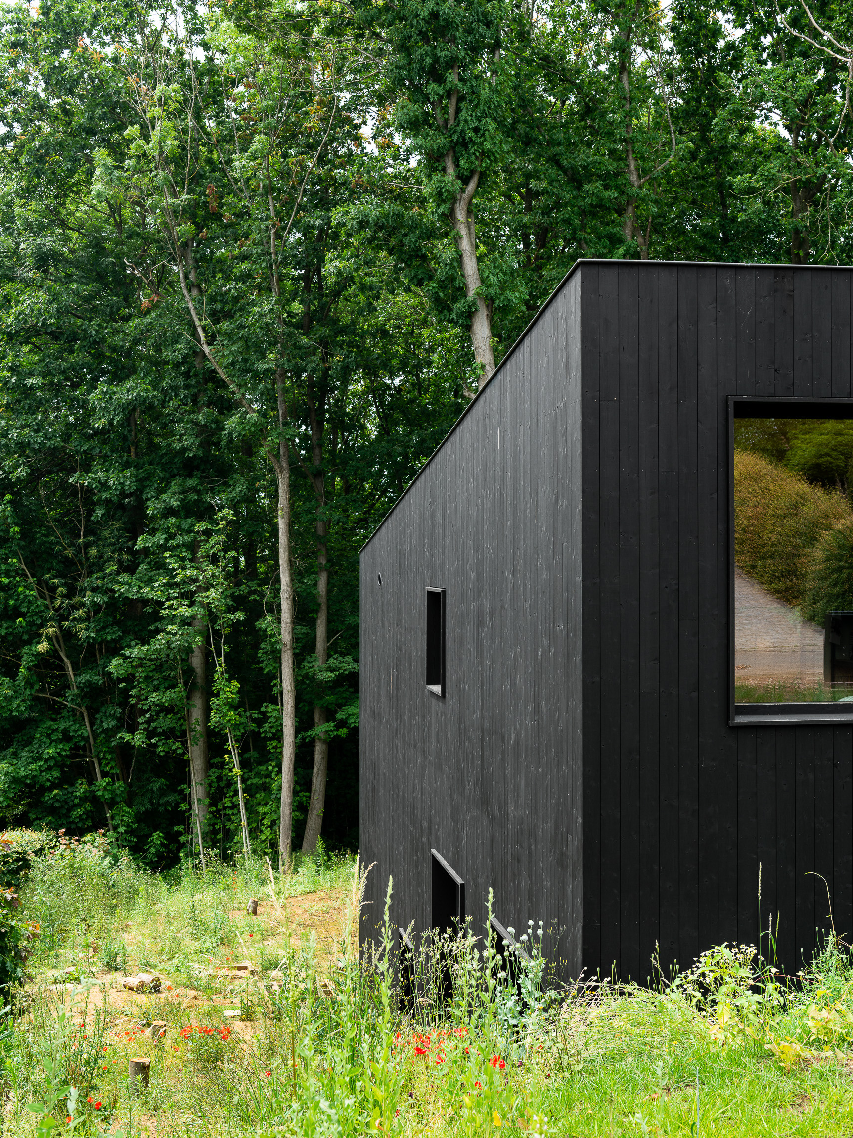 20210627 mr frank 63901