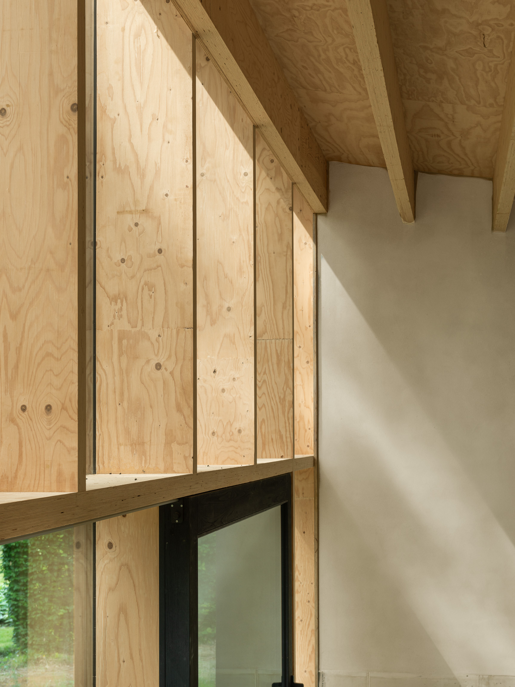 20210627 mr frank 63945