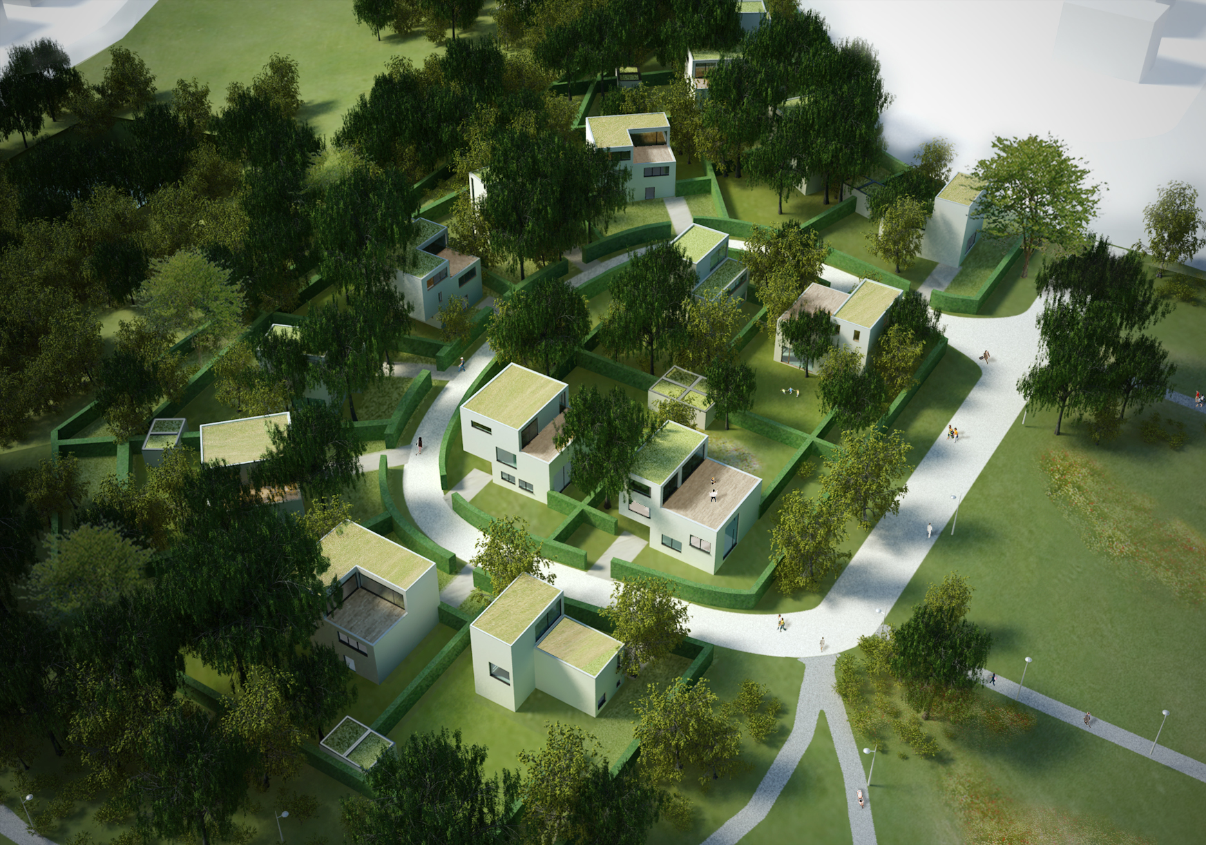 Anemoonproject Copyright Bump 02