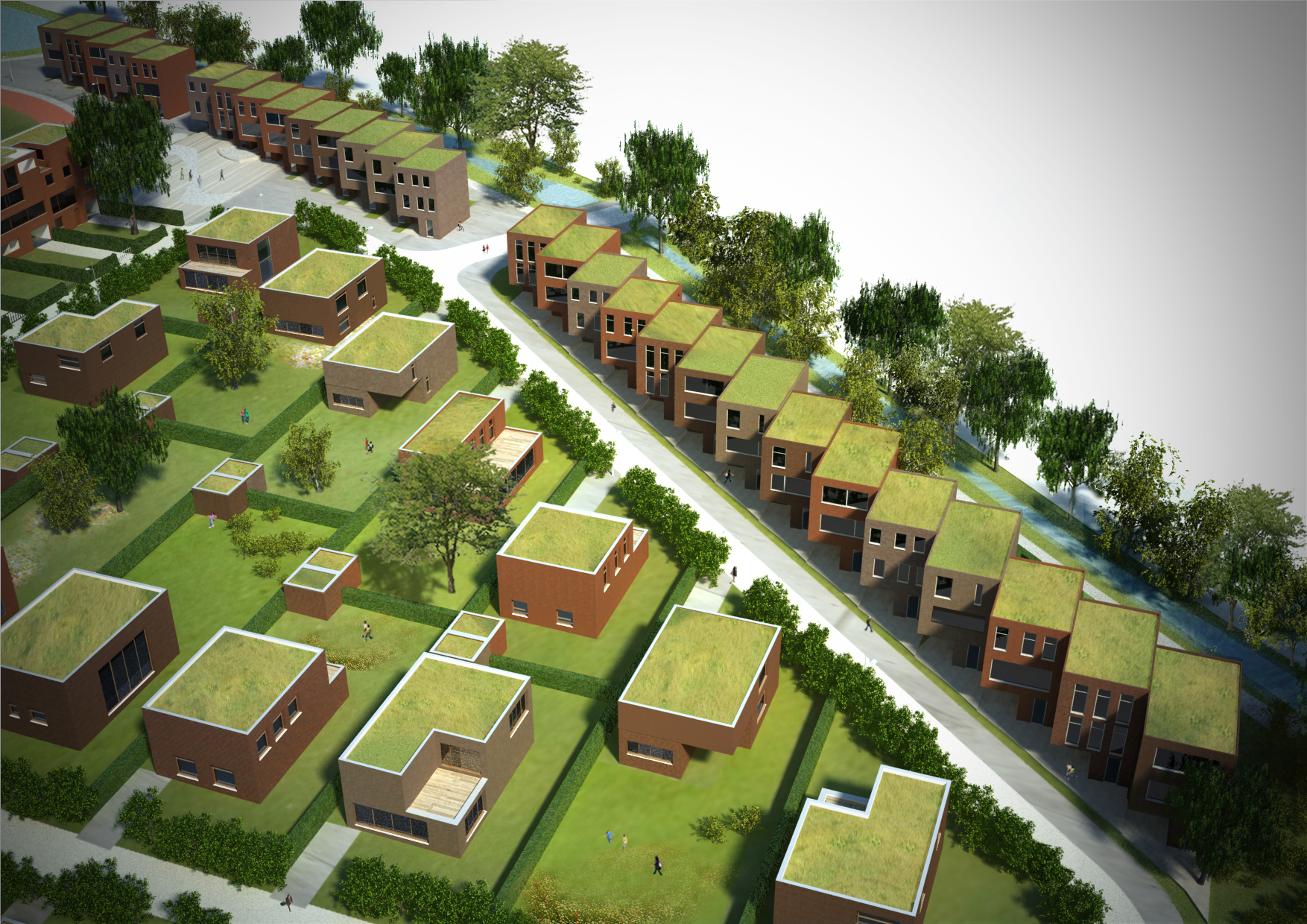 Anemoonproject Copyright Bump 05