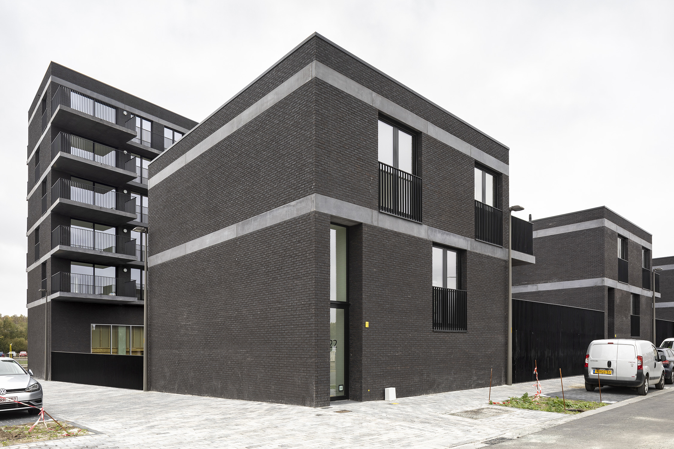 Batoo Copyright Ilse Liekens 02