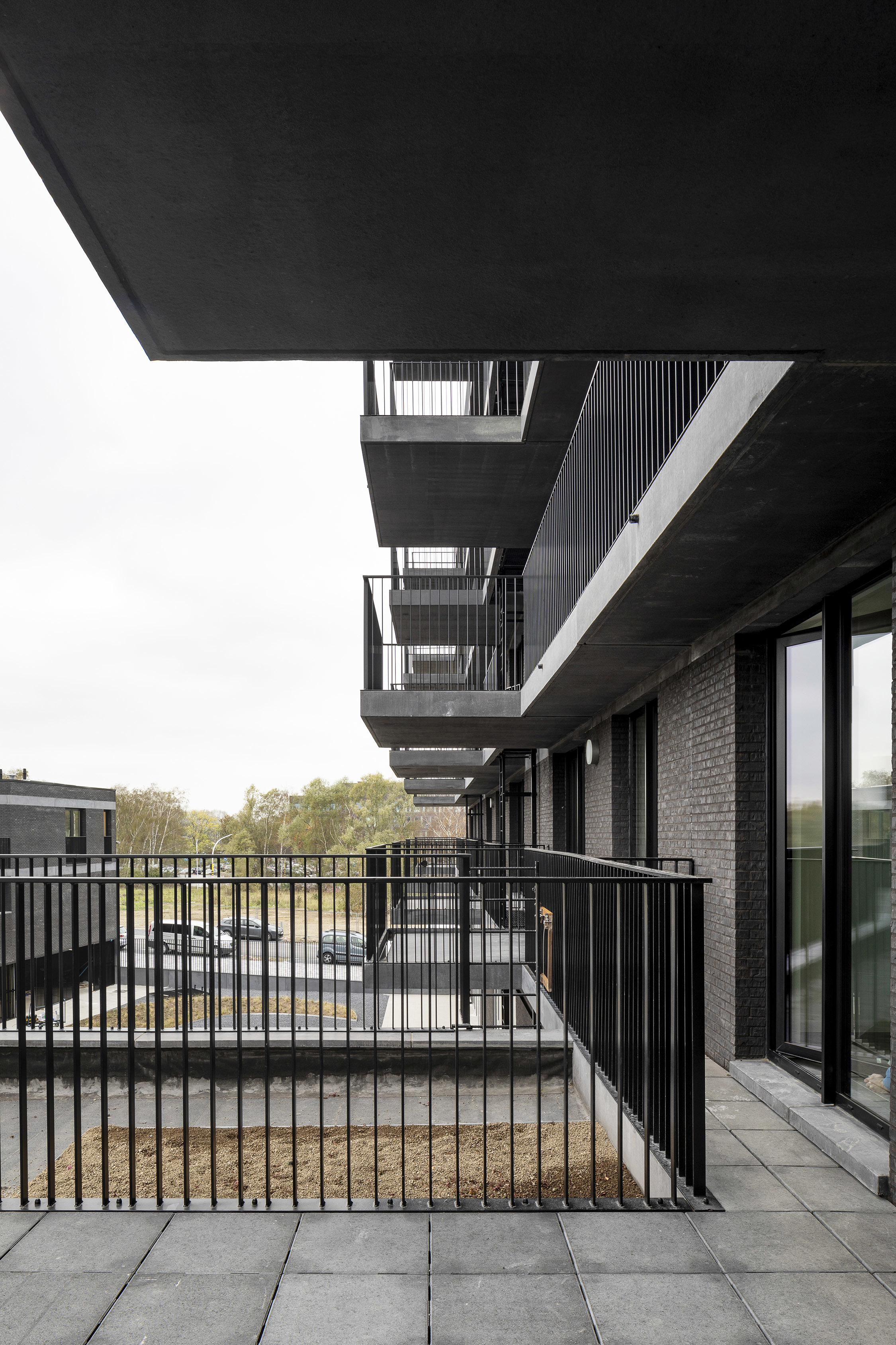 Batoo Copyright Ilse Liekens 06