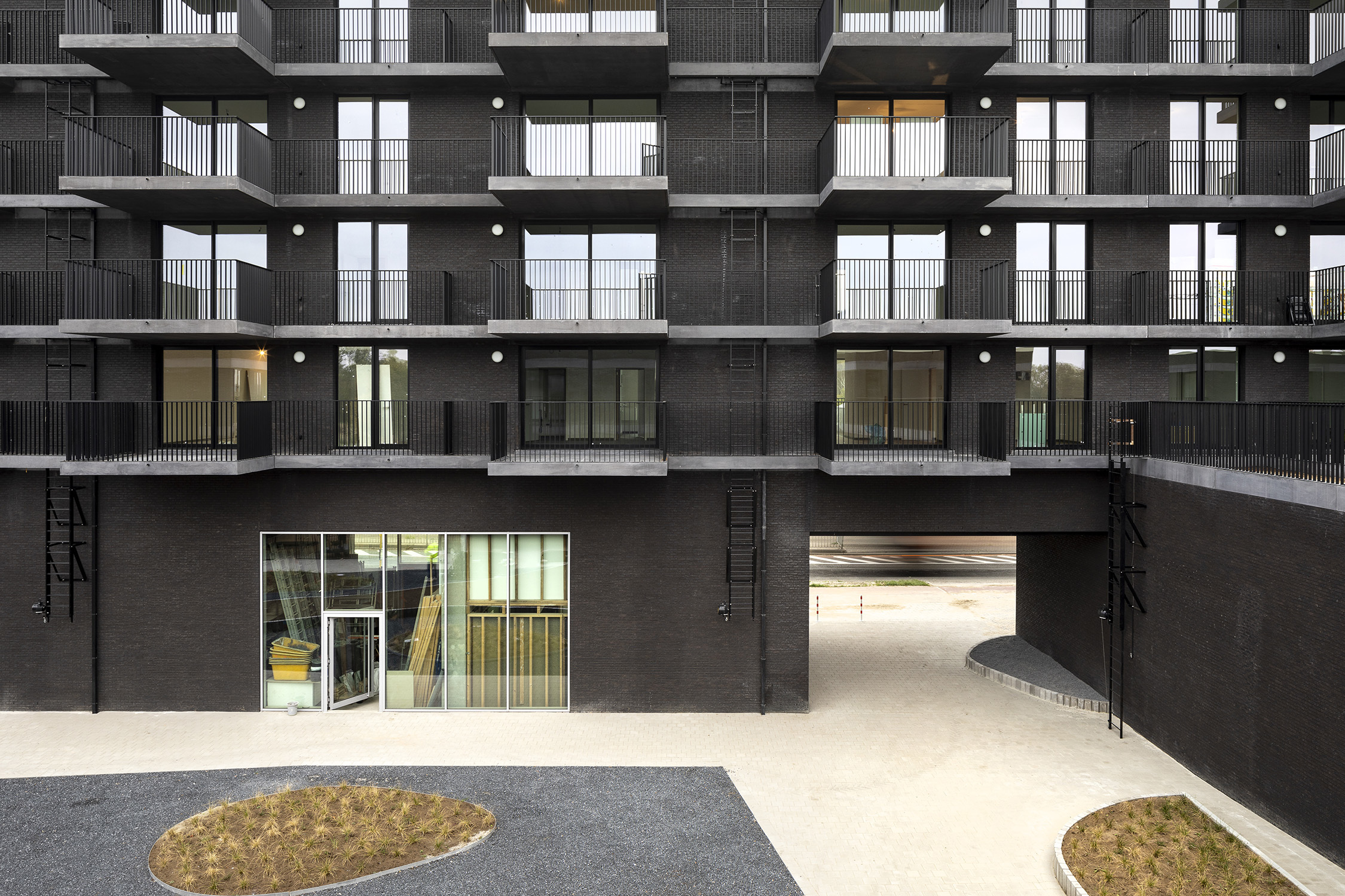 Batoo Copyright Ilse Liekens 07