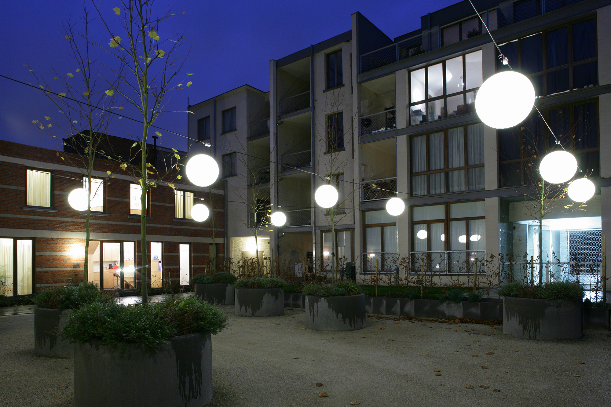 DFactory janKempenaers 5