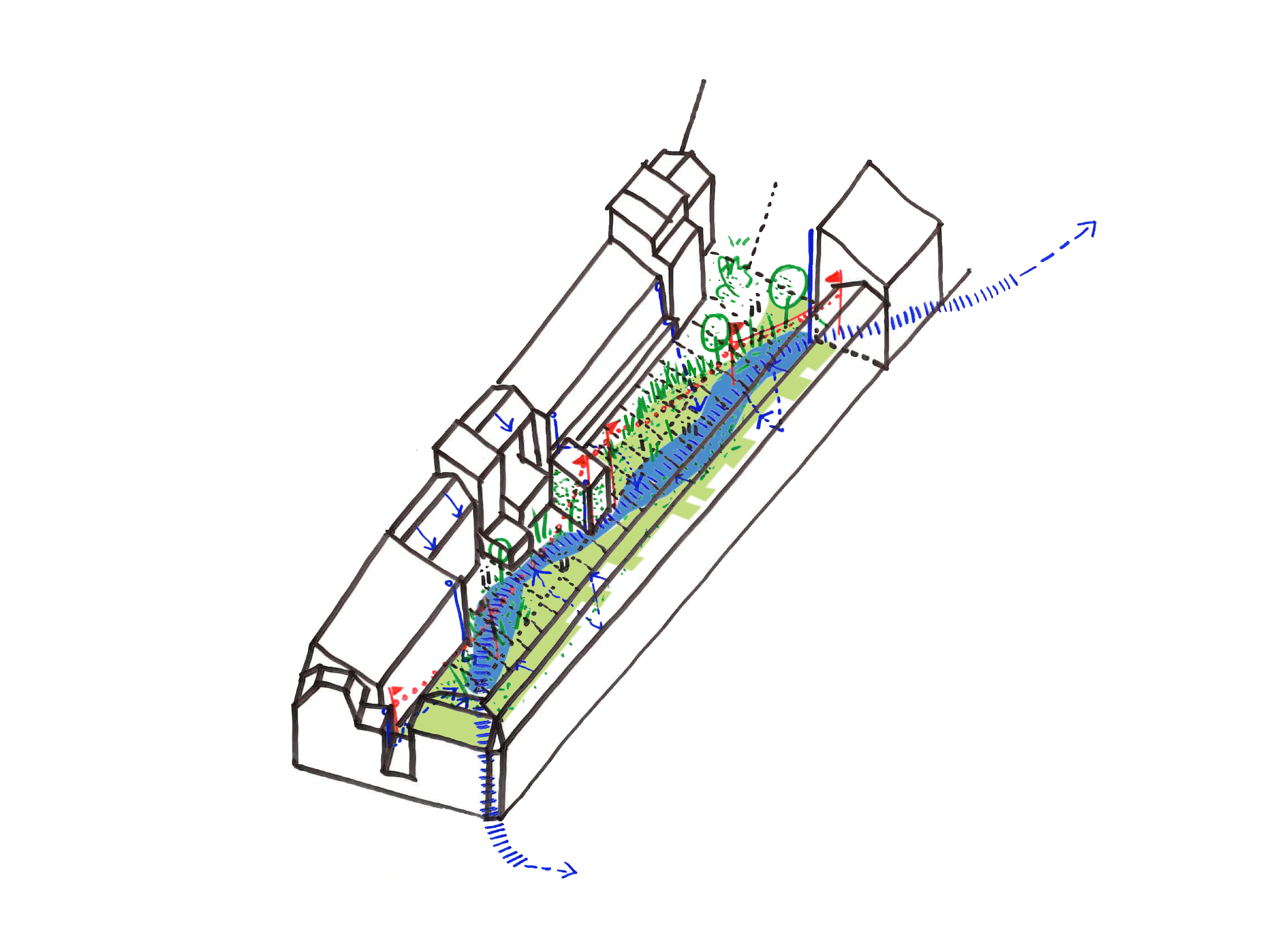 DODOEN 05 volledig ingekleurd publicatie