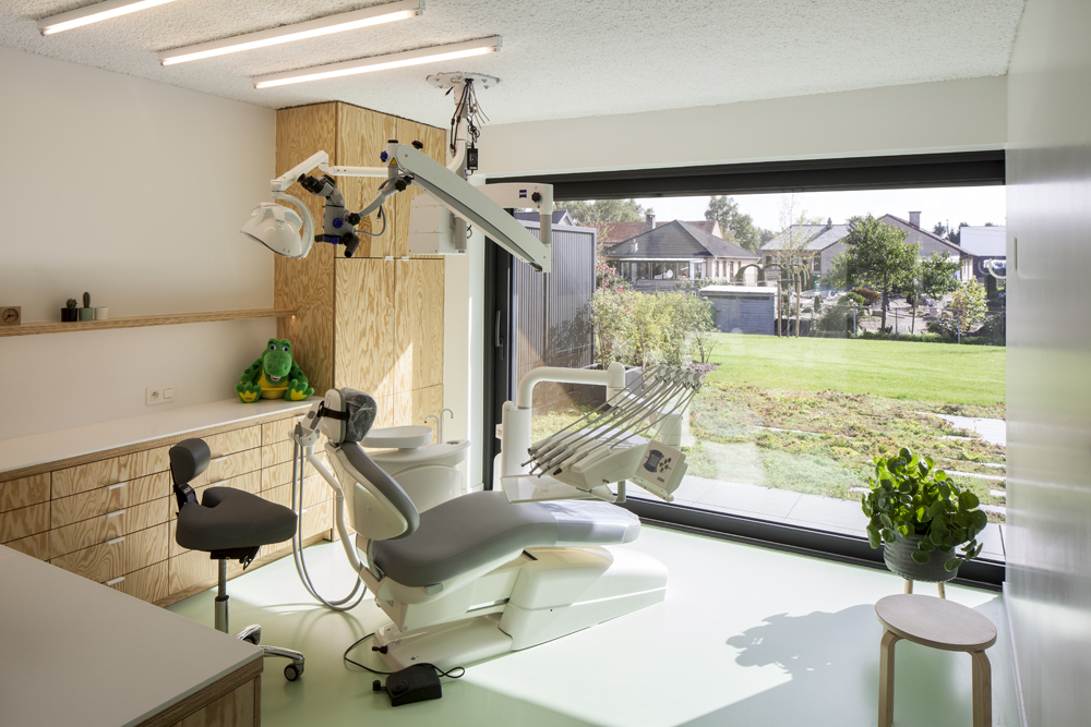 Dentists B copyright Ilse Liekens 02