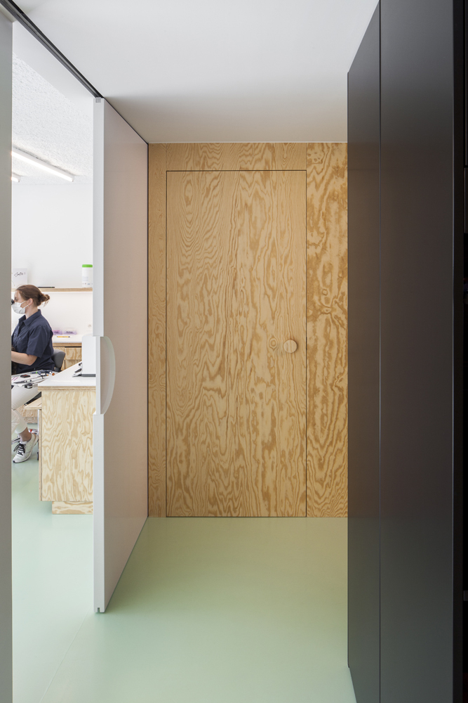 Dentists B copyright Ilse Liekens 03