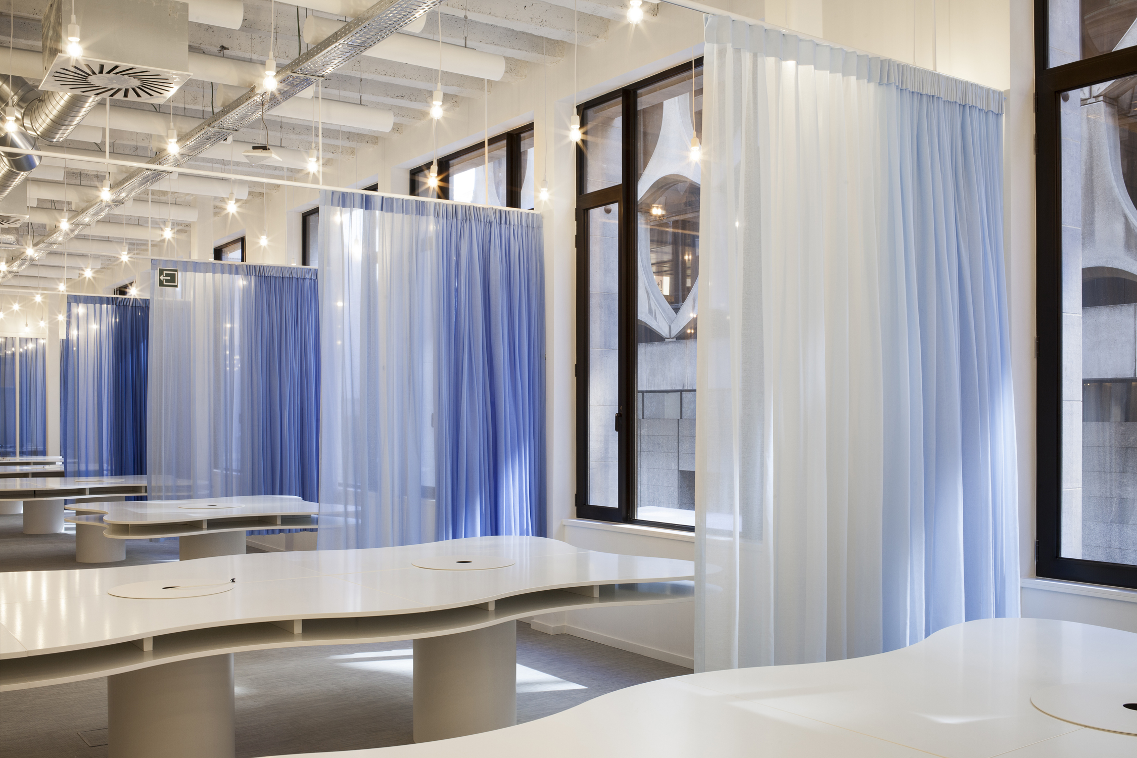 Havas Copyright Ilse Liekens 08