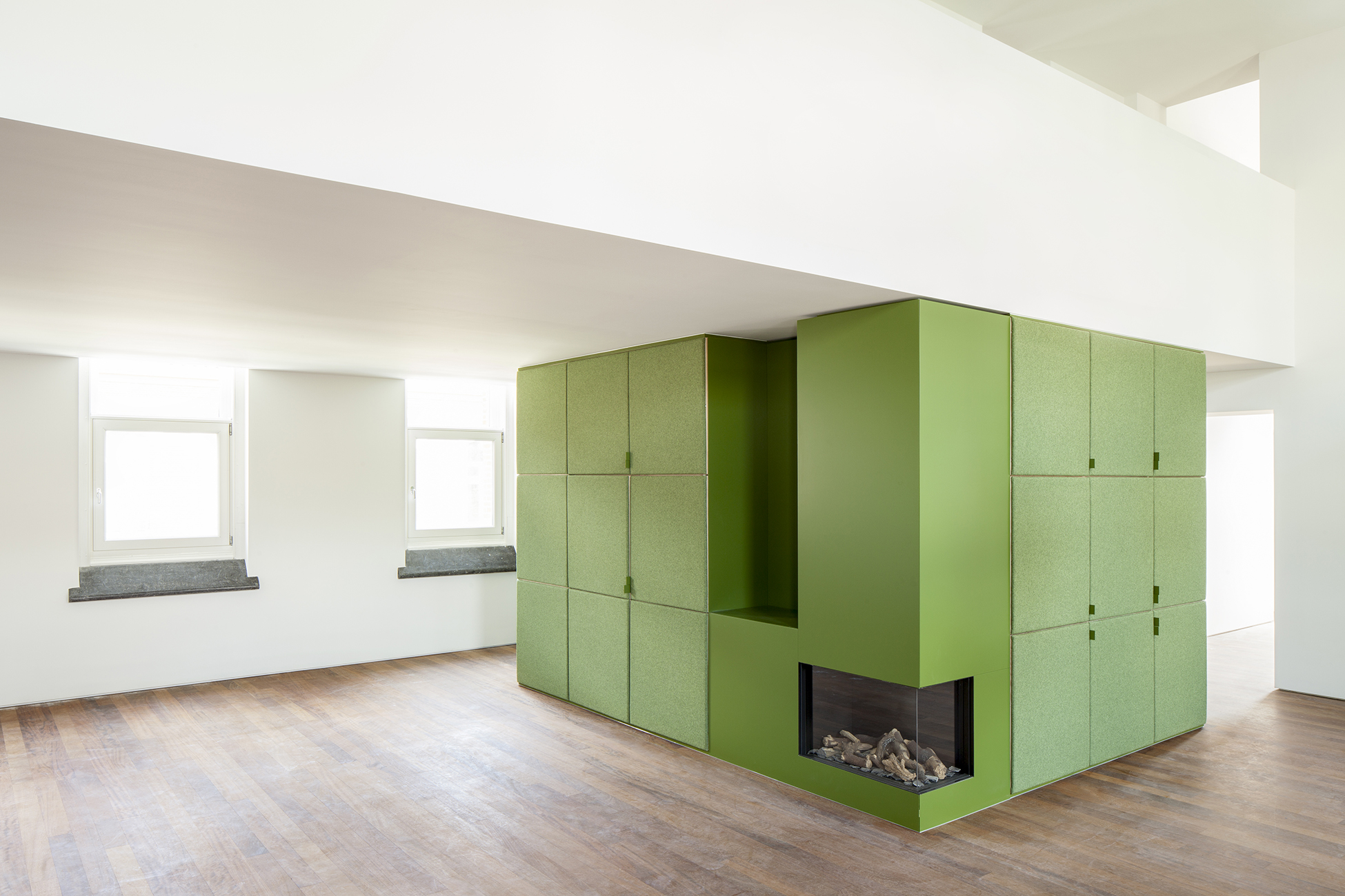 VierinFelix Ilse-Liekens 1