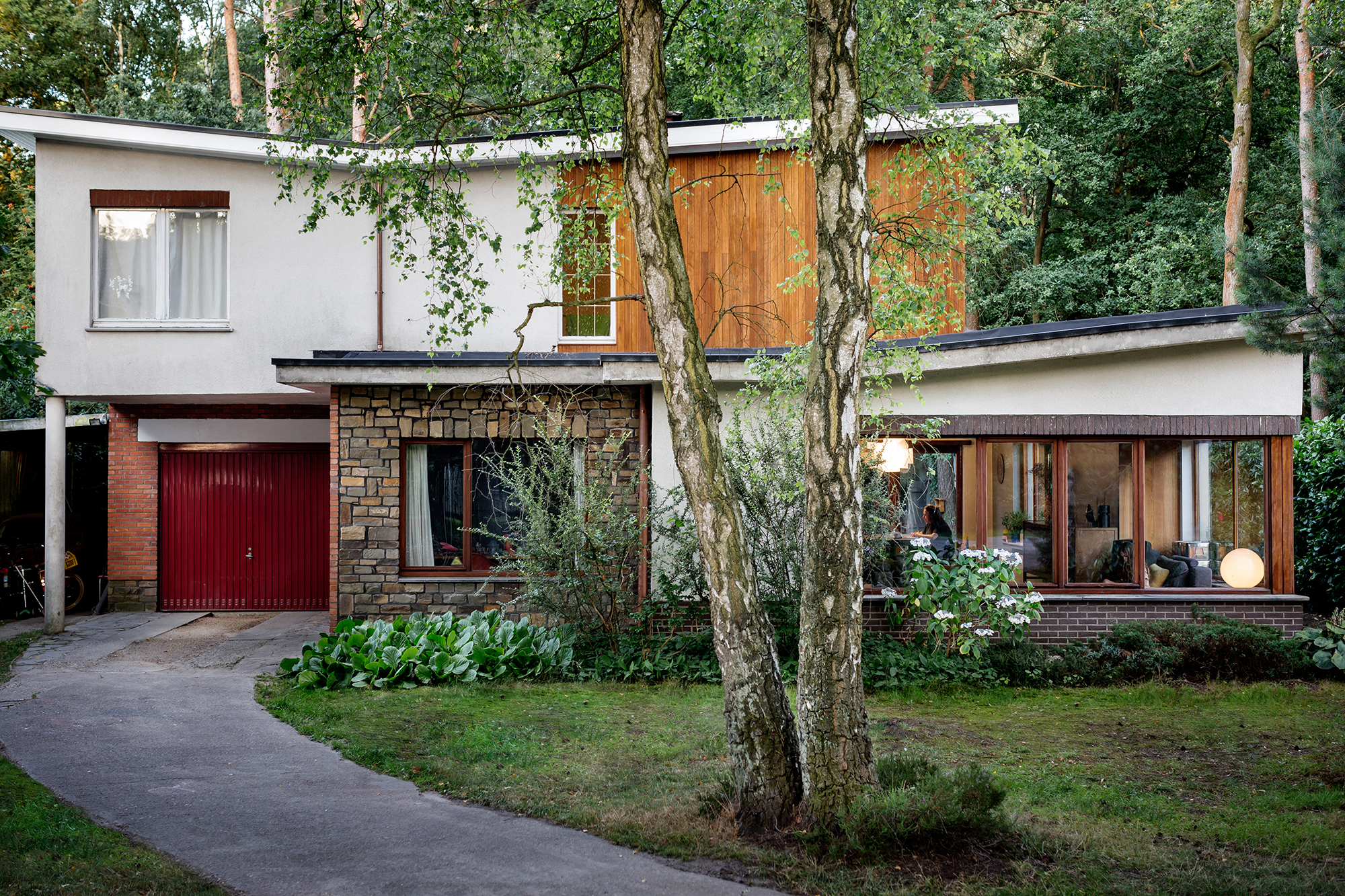 Verghote-Willaert Lucid 1