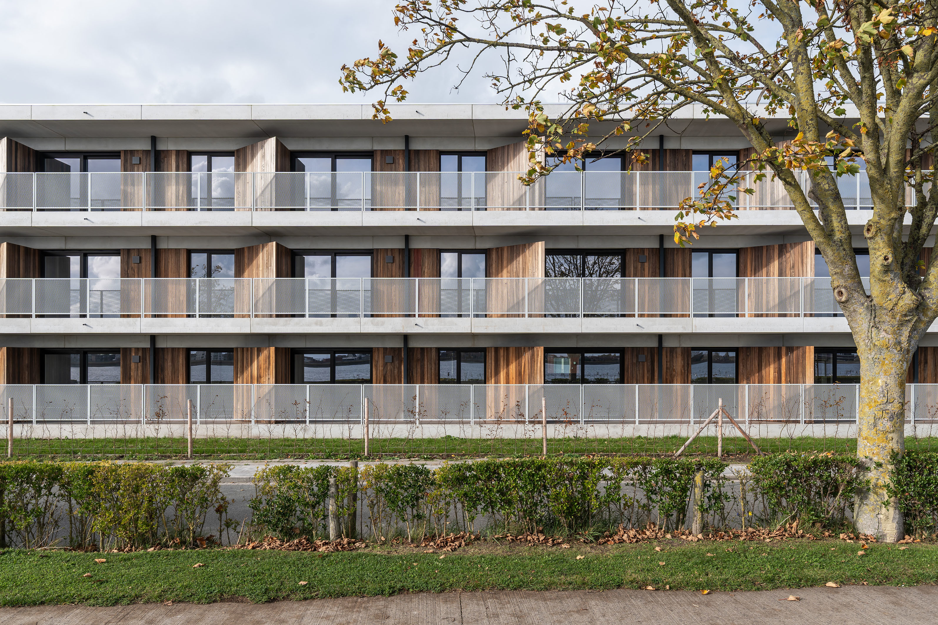 LOW LUCID B Juxta Met Zicht 005