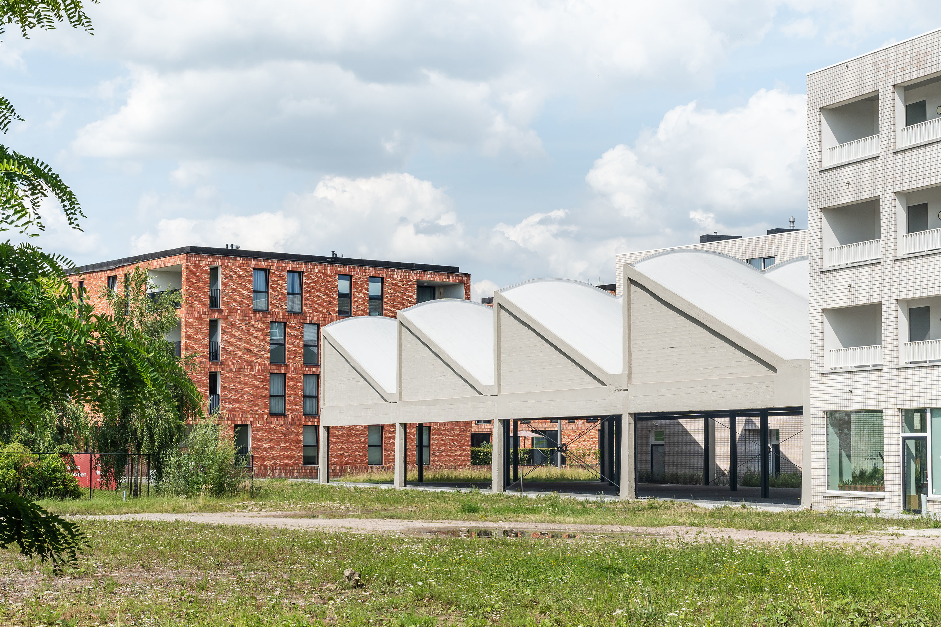 LOW LUCID B Juxta shedstructuur Aalst 19