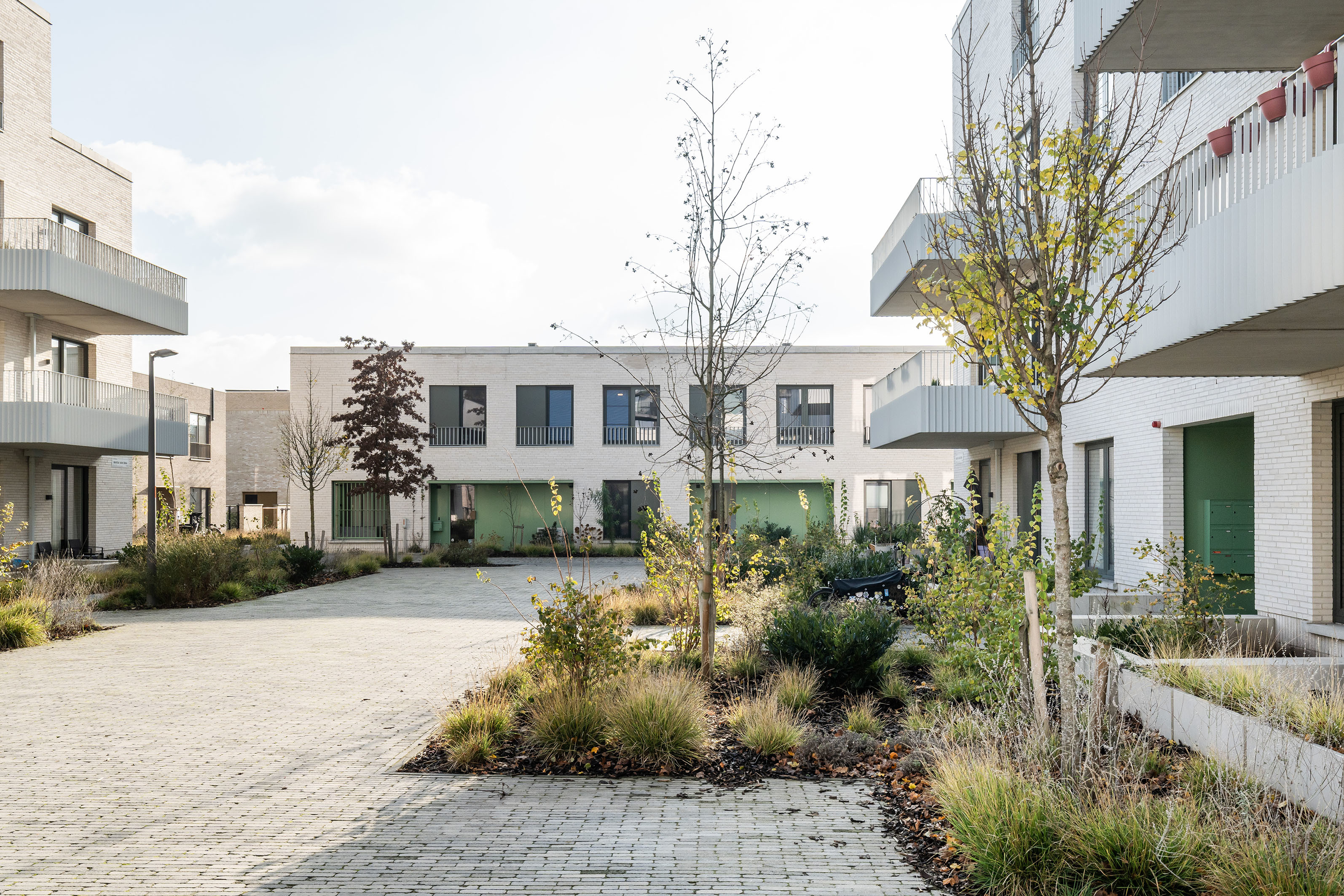 LOW LUCID B architecten Regatta 19