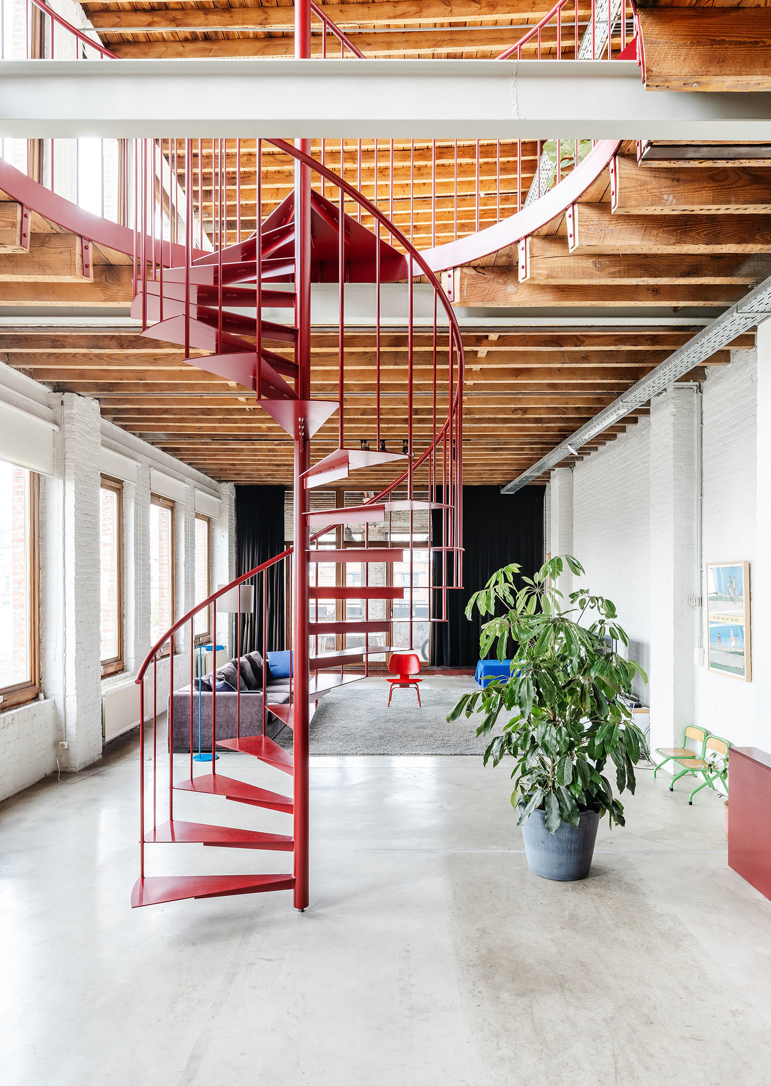 LOW LUCID B bis Anyplace 018