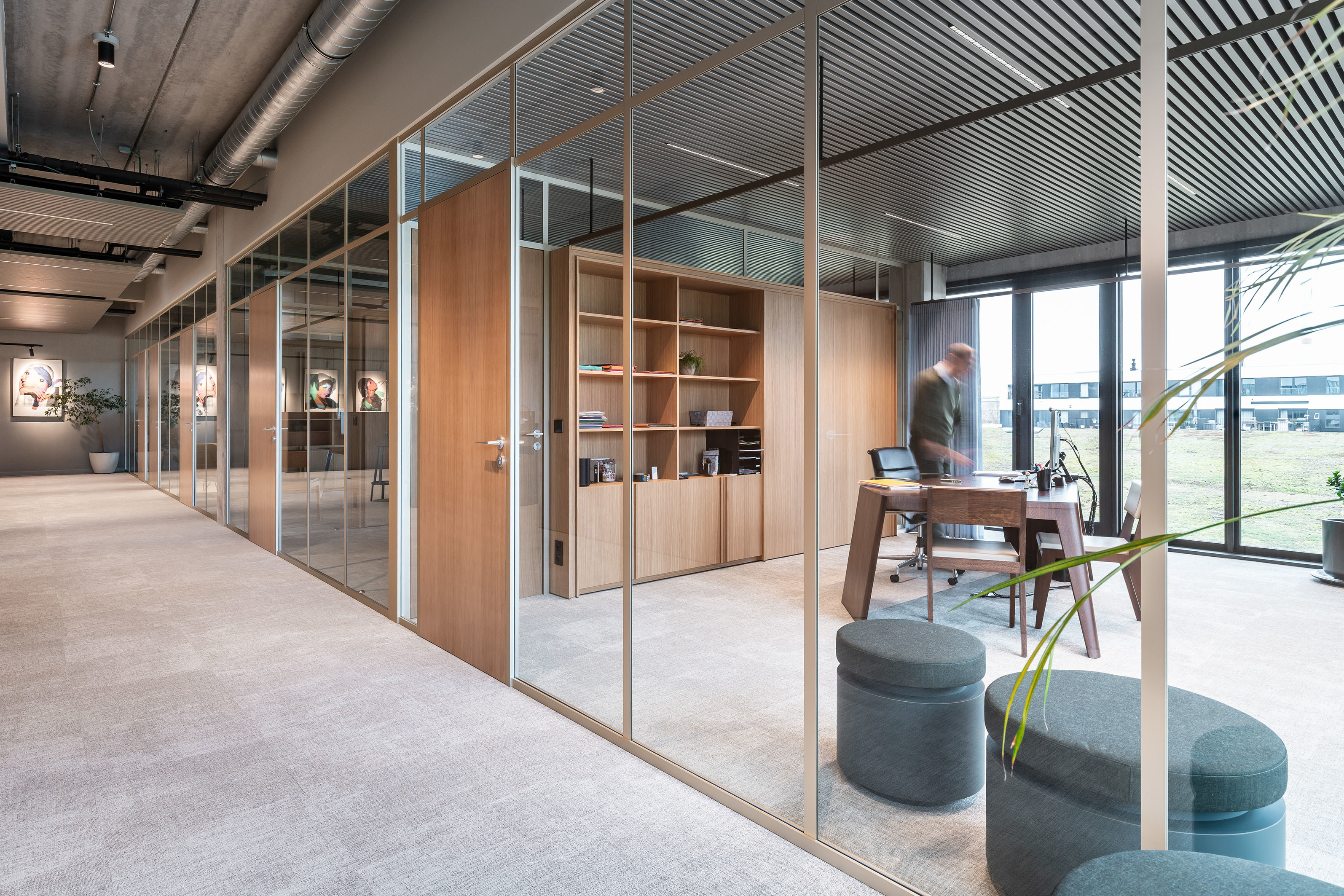 LOW LUCID B bis DKP 17