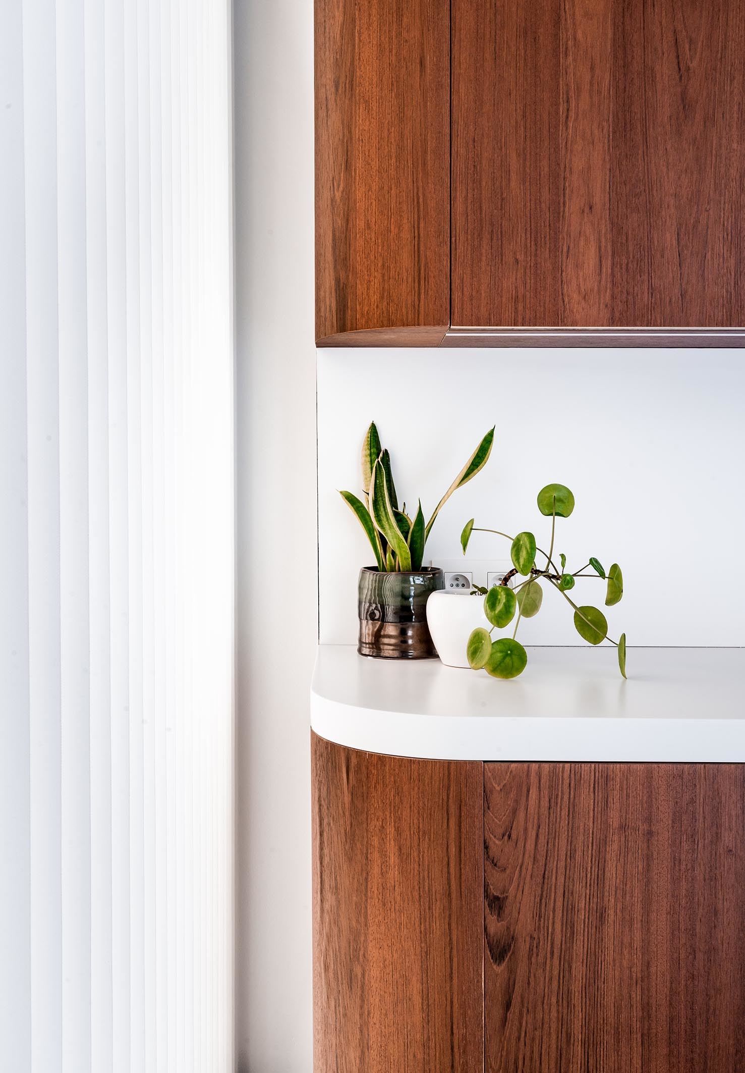 LOW LUCID B bis Dentisterie 06