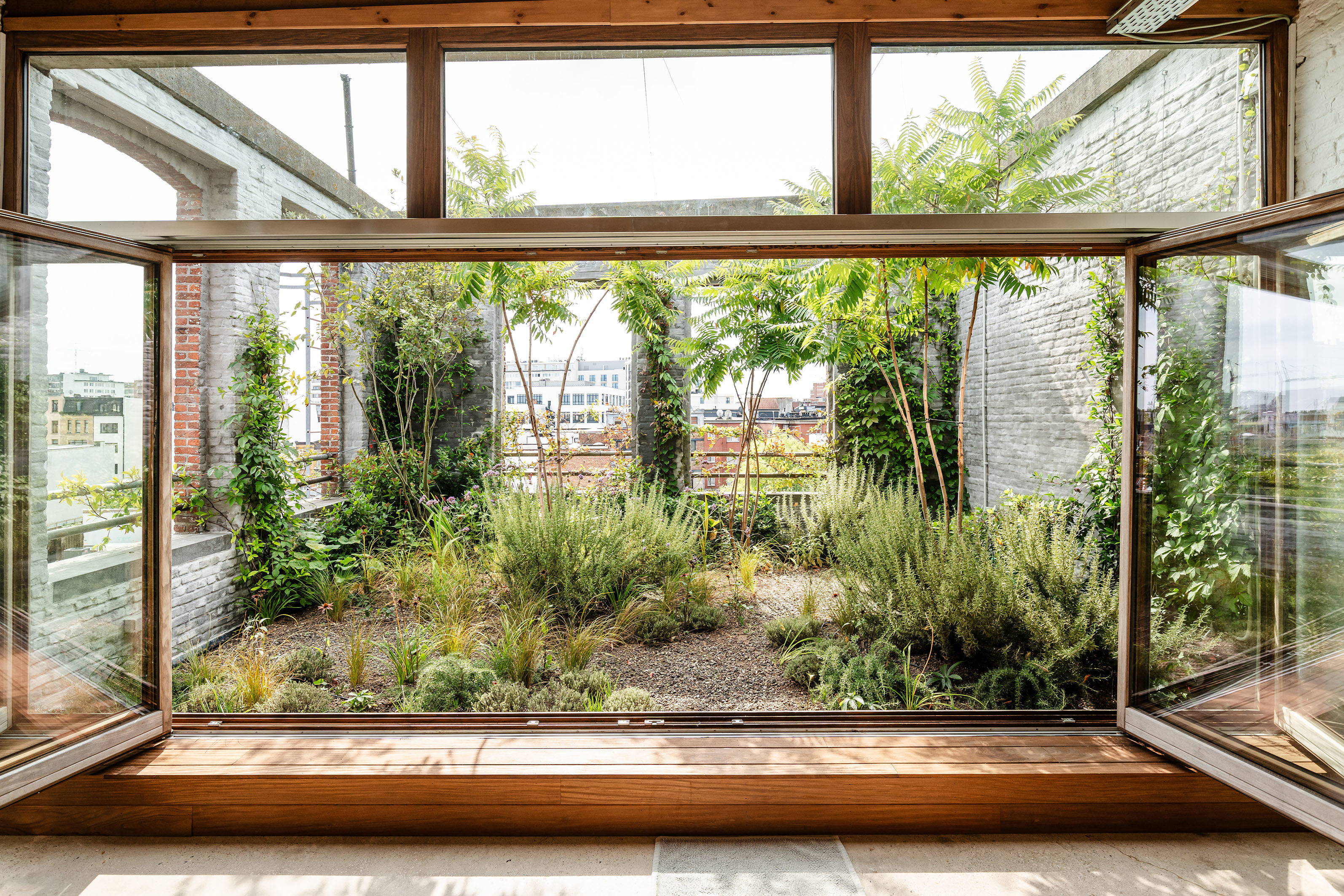 LOW LUCID B bis LOFT extra 05