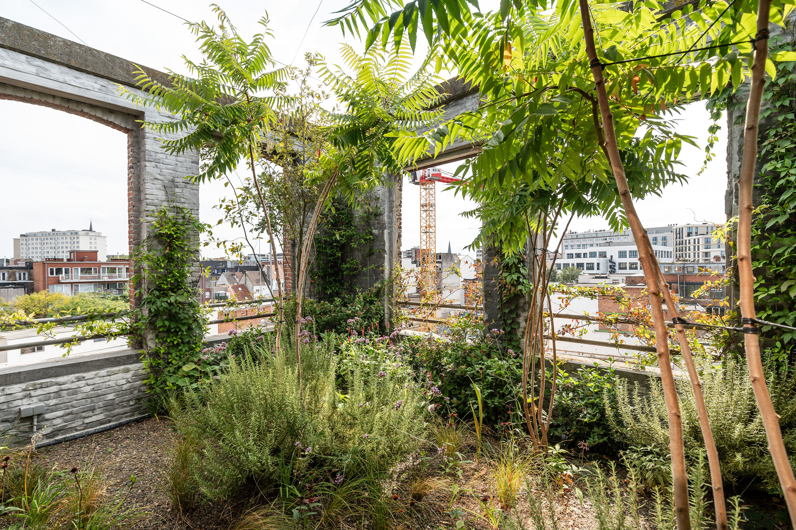 LOW LUCID B bis LOFT extra 06