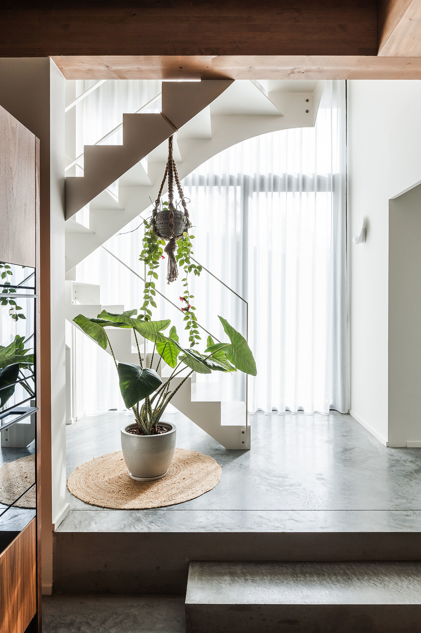 LOW LUCID B bis Zwarte Arend 06