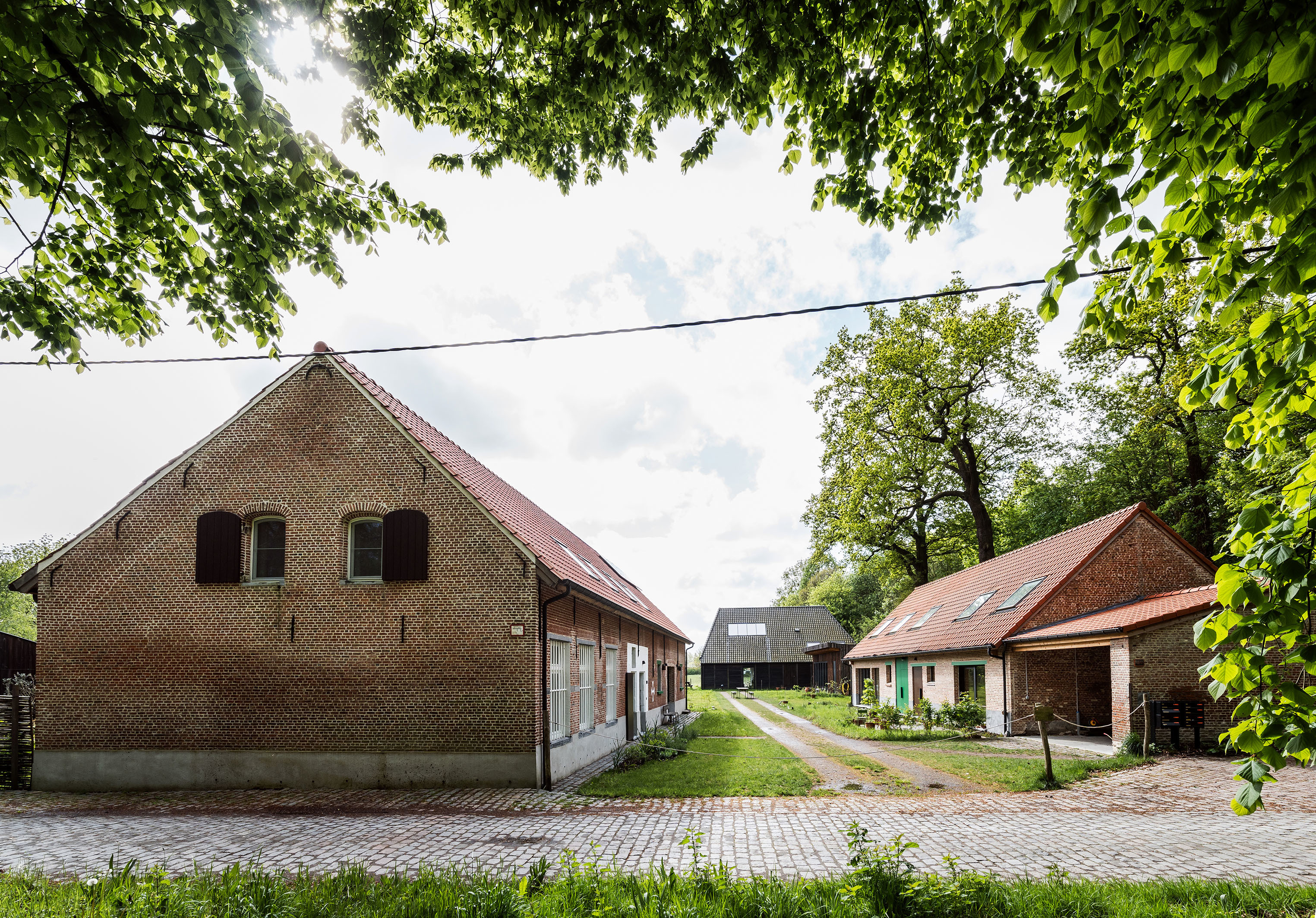 LOW LUCID B bis Zwarte Arend 23