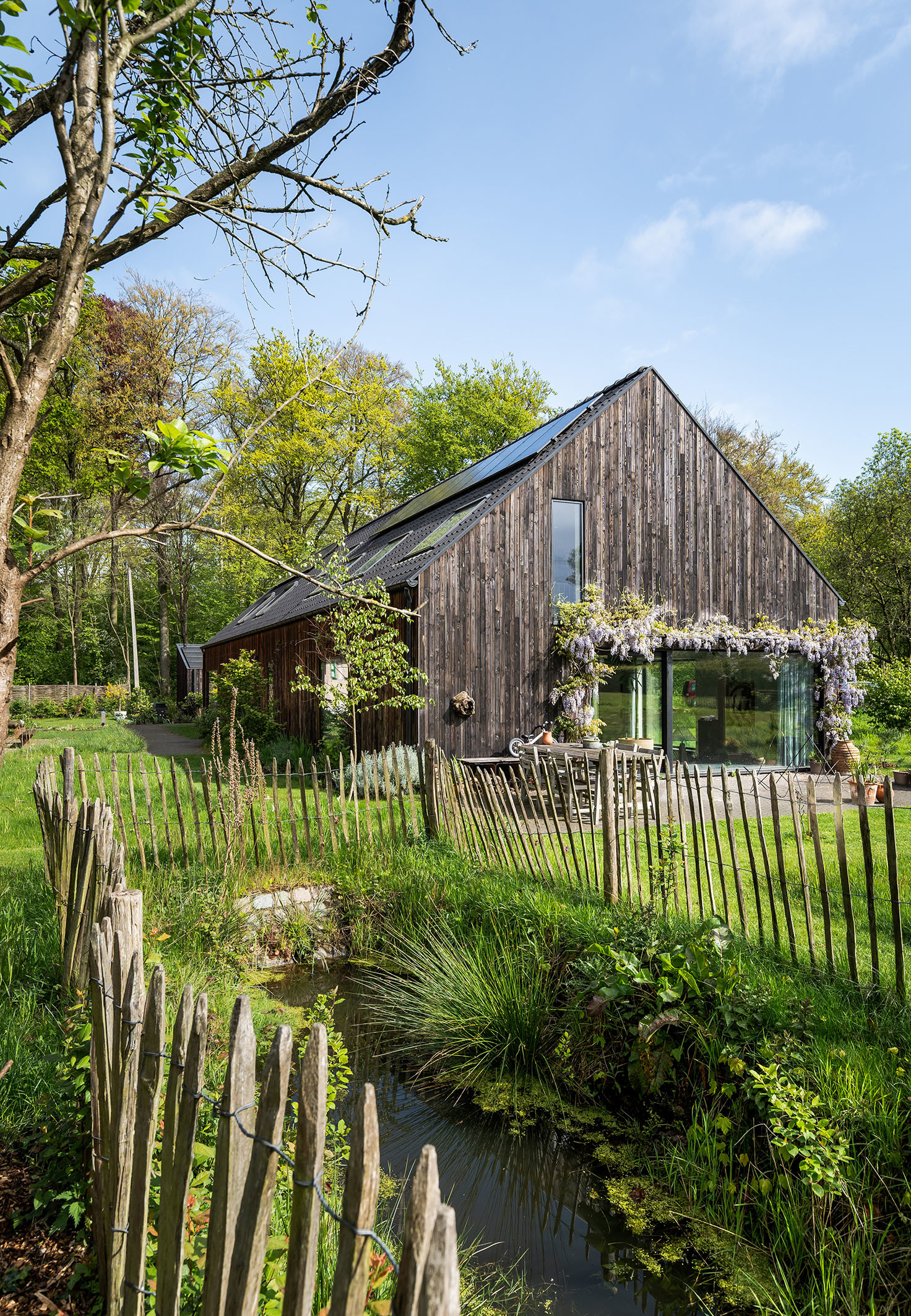 LOW LUCID B bis Zwarte Arend 31