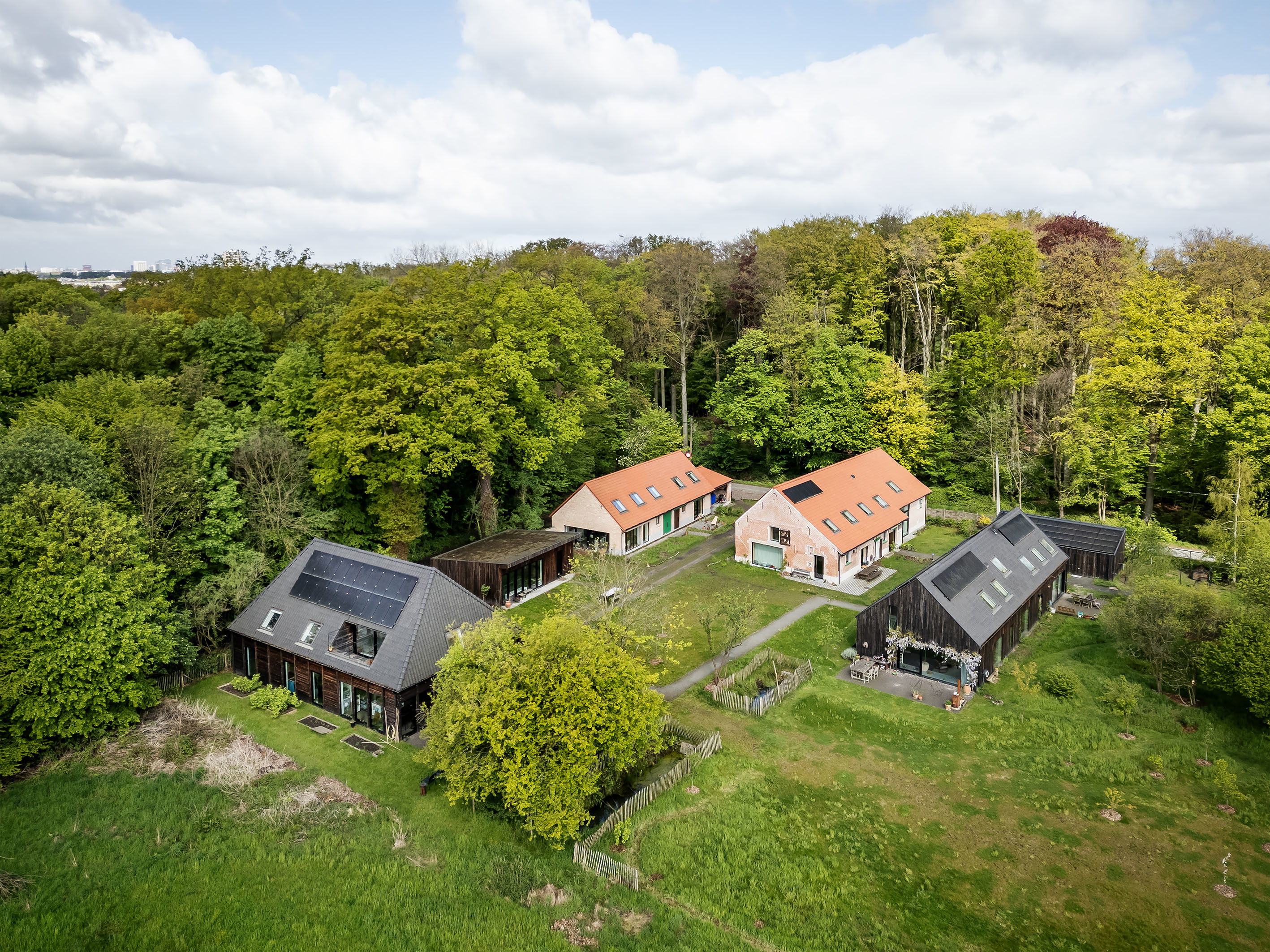 LOW LUCID B bis Zwarte Arend 38