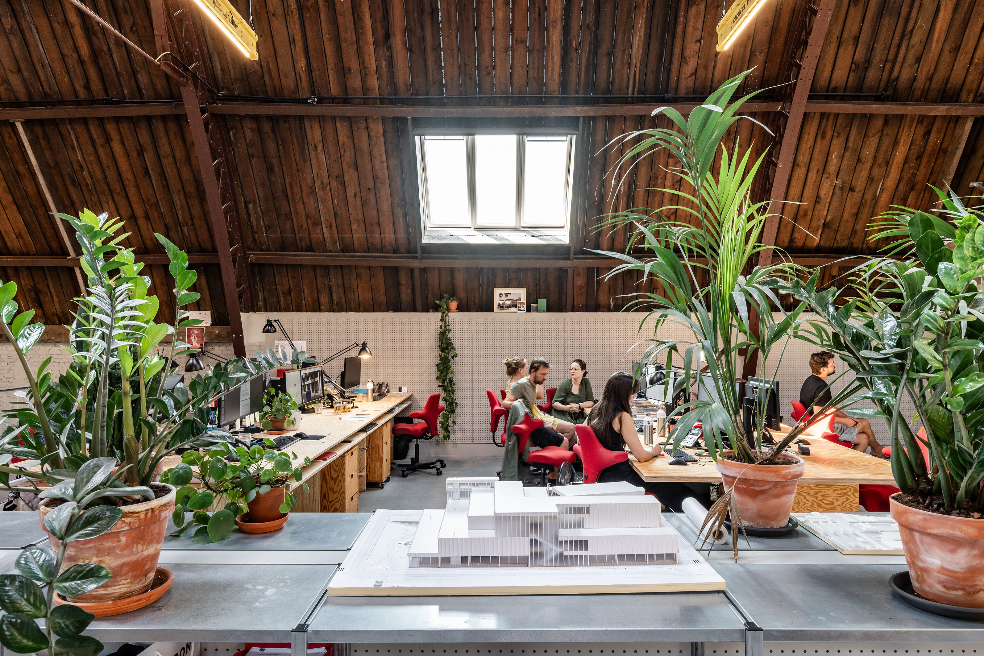 LOW LUCID B cinema 009