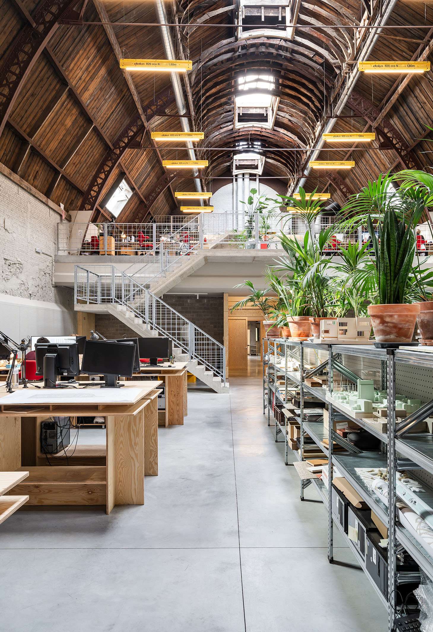 LOW LUCID B cinema 025