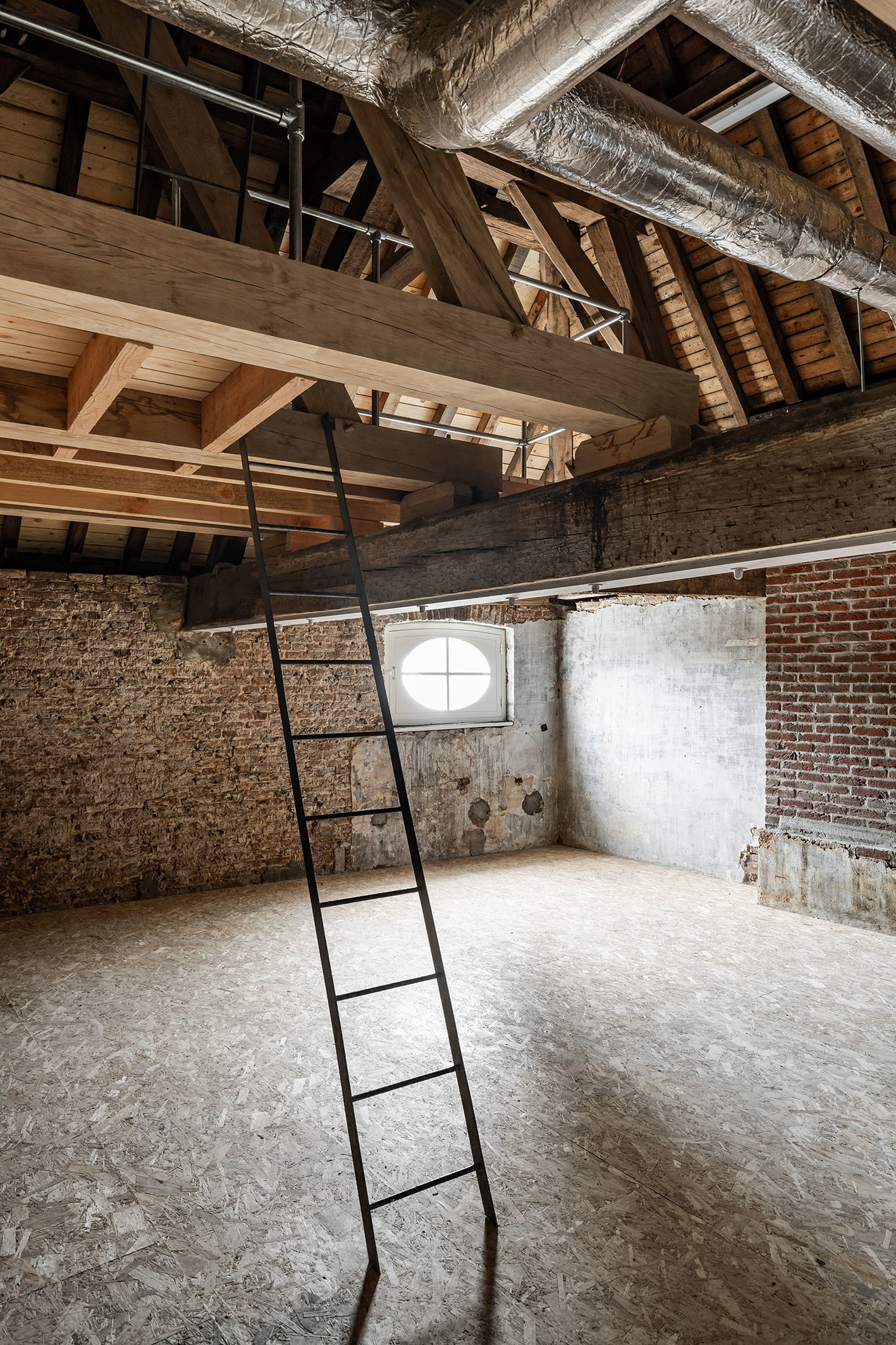 LOW LUCID B juxta Assenede 16