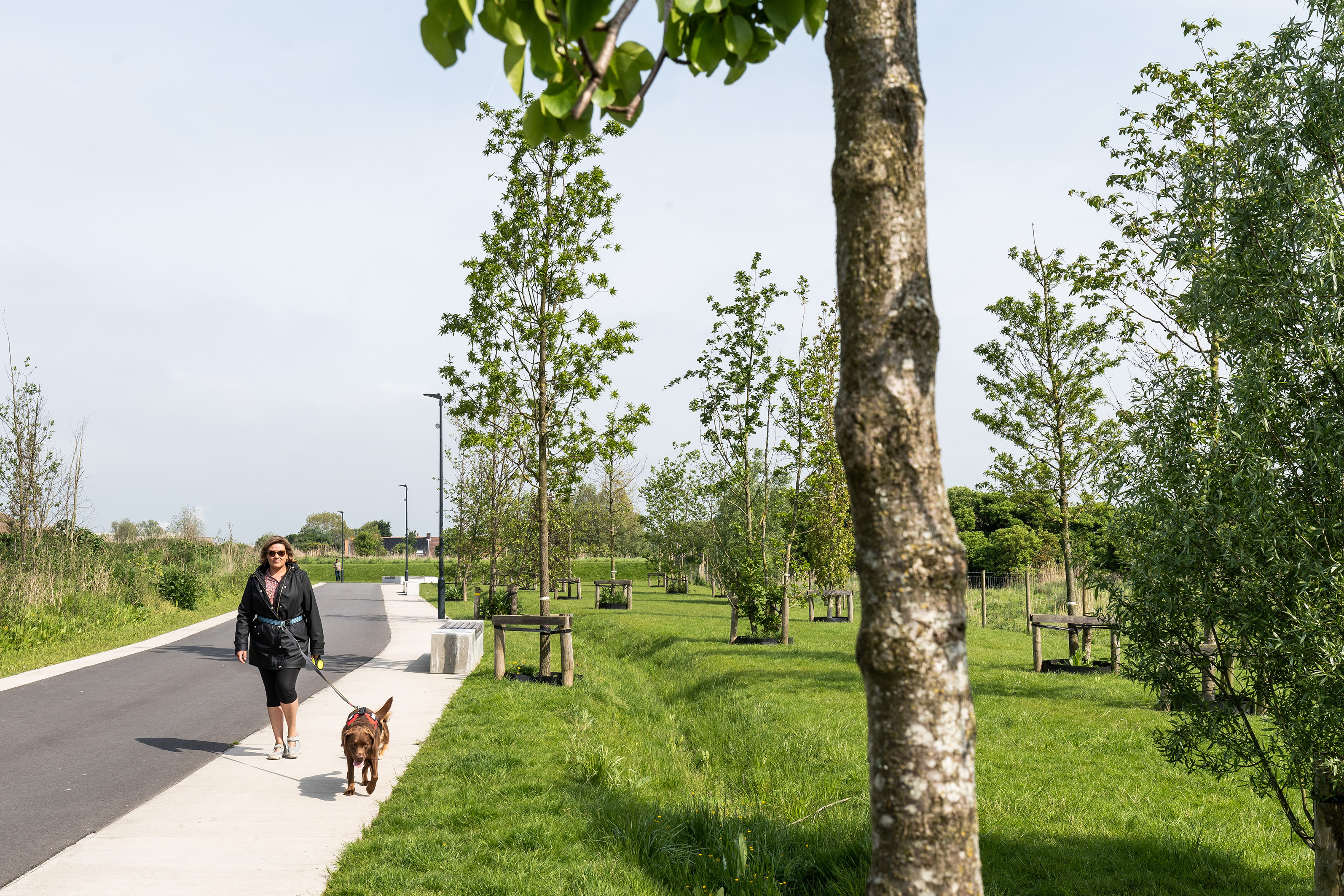 LOW LUCID Suikerpark Veurne 08