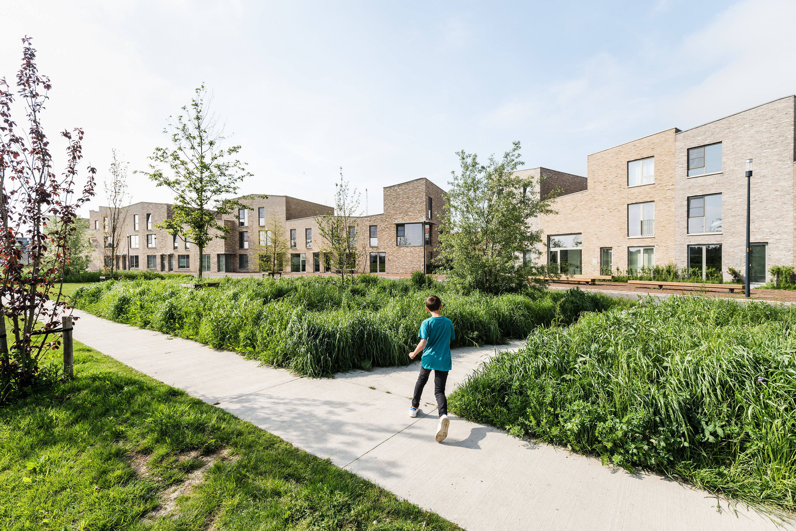 LOW LUCID Suikerpark Veurne 21