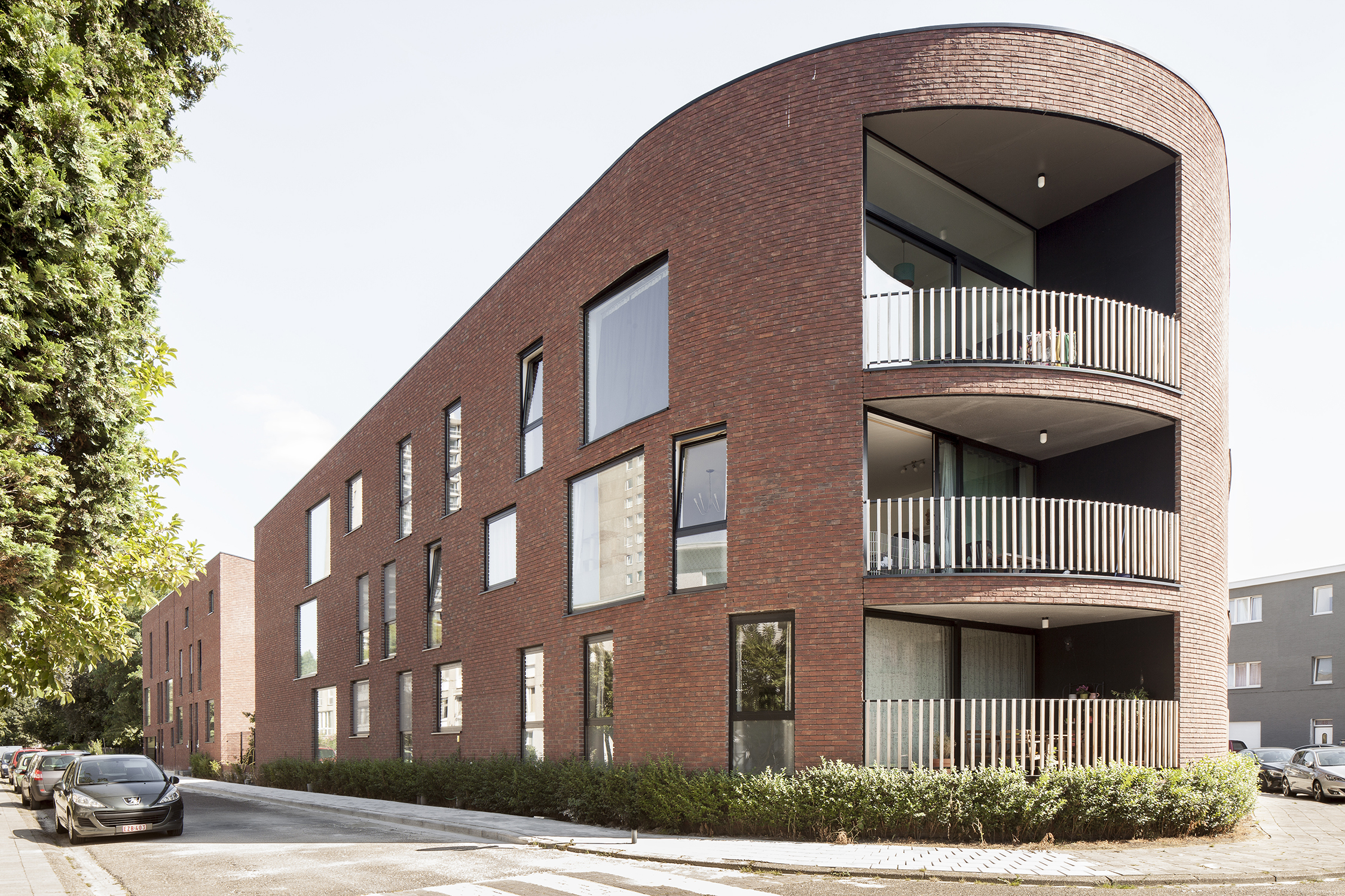 Mimosa Copyright Ilse Liekens 03