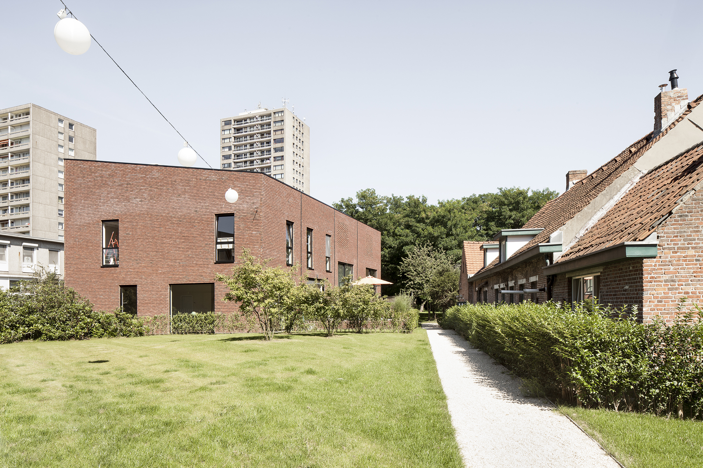 Mimosa Copyright Ilse Liekens 04