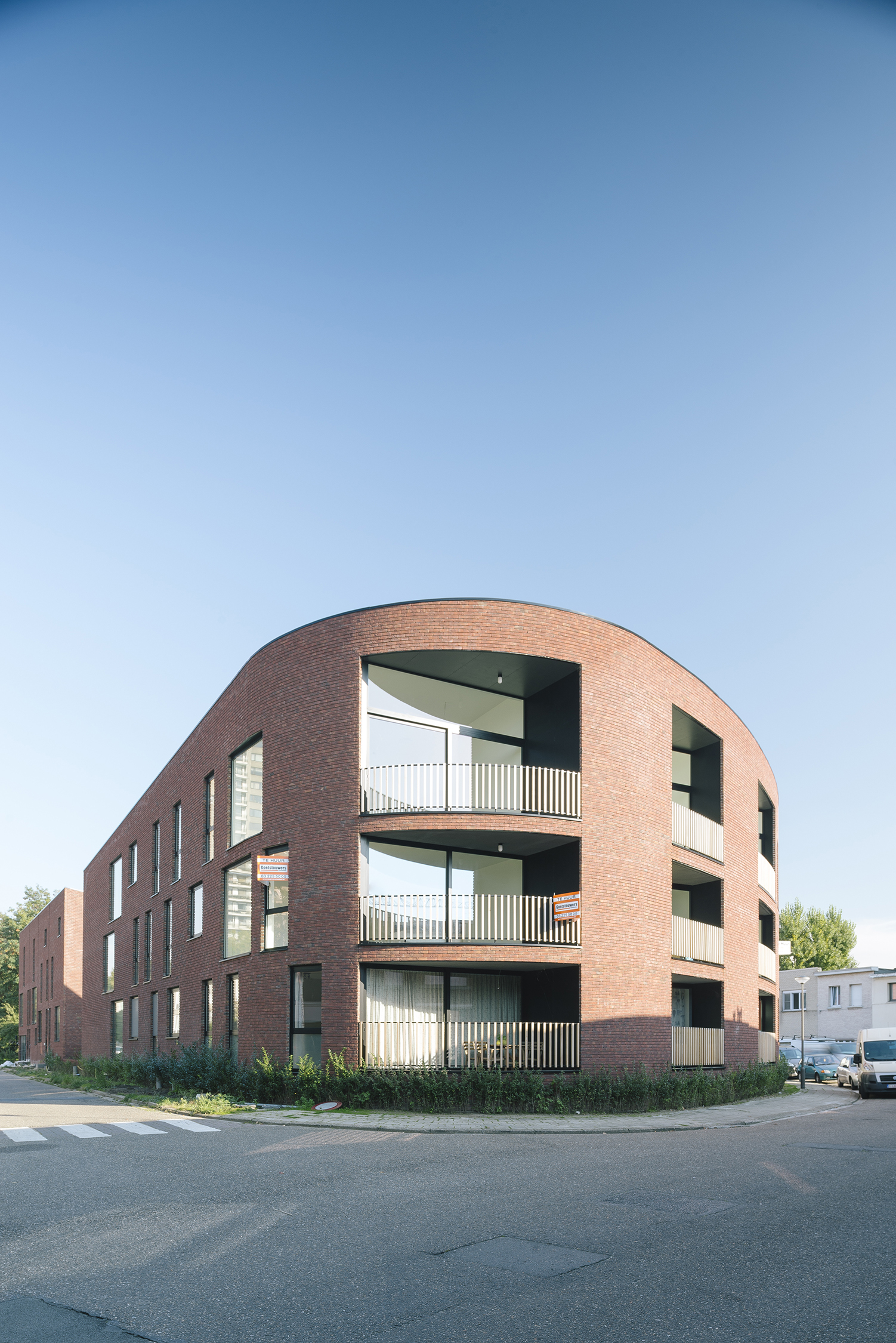 Mimosa Copyright Olmo Peeters 03